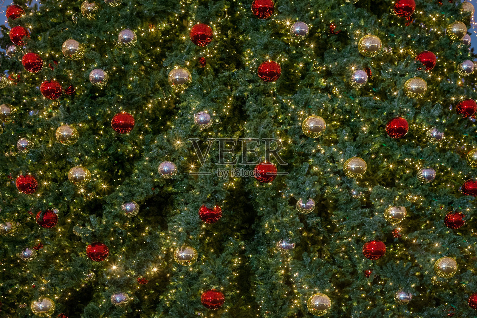 圣诞树的碎片照片摄影图片