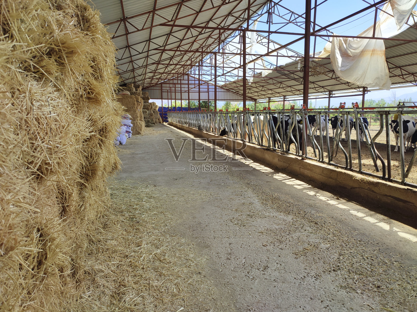 精品照片摄影图片