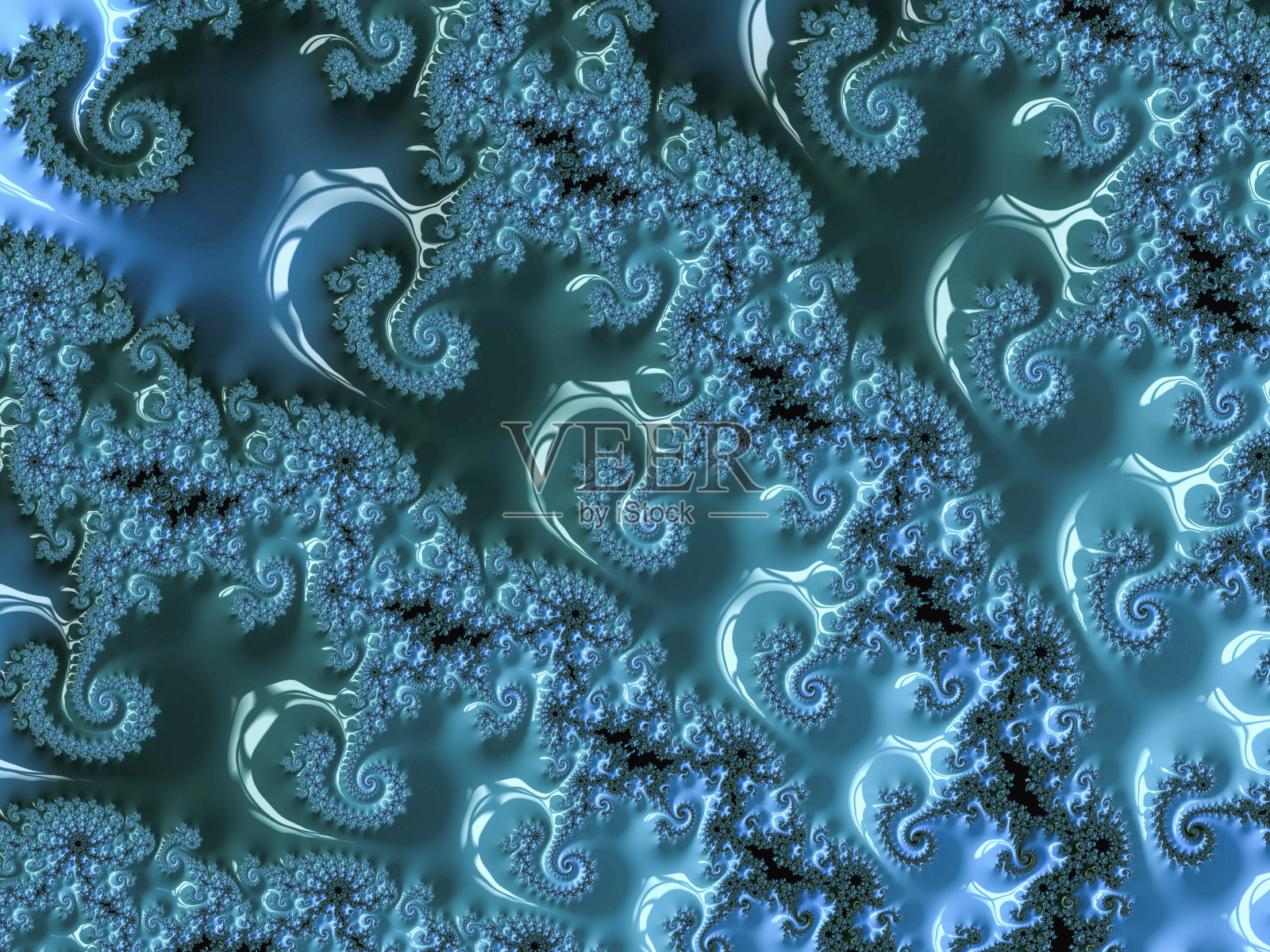 肉质植物分形。照片摄影图片