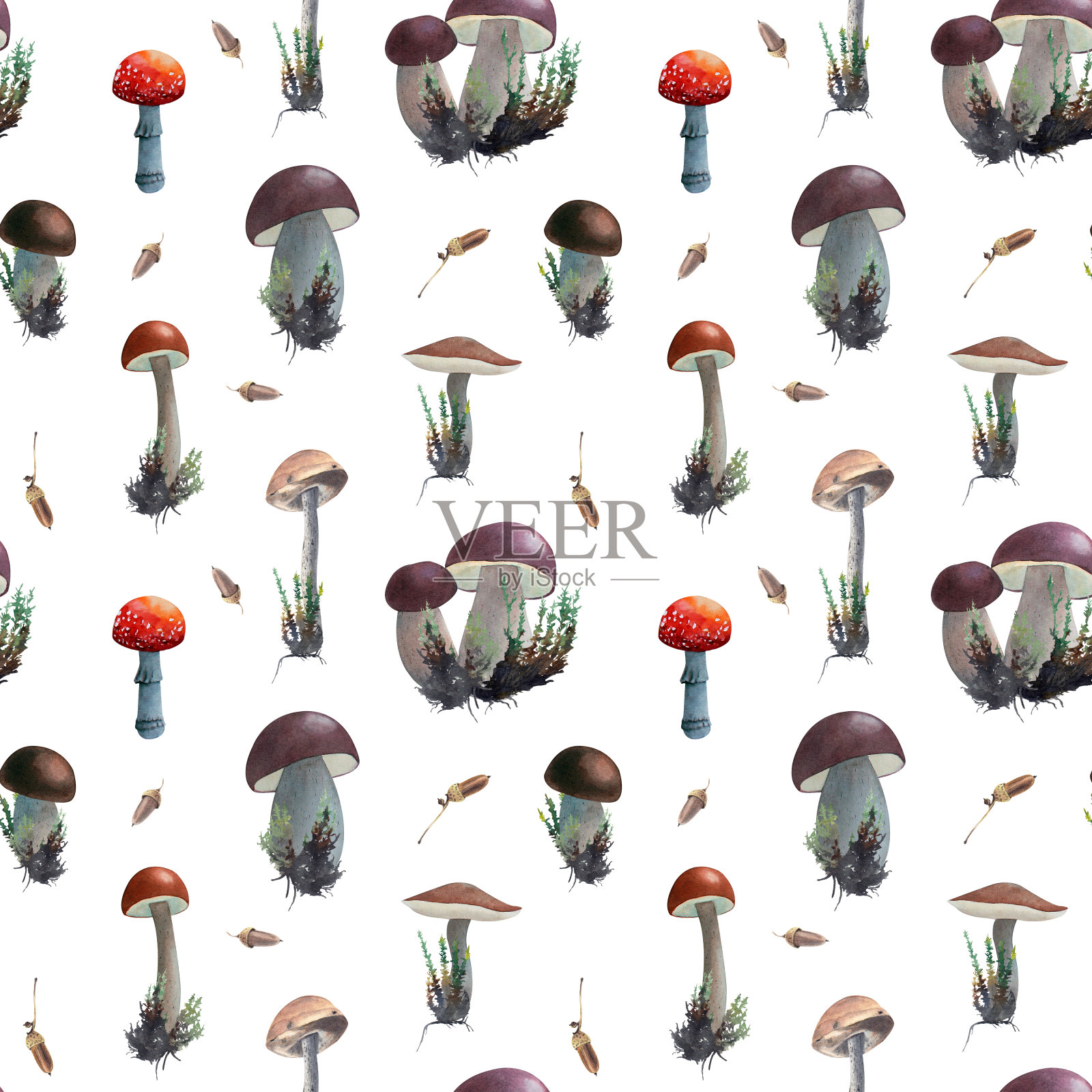 手绘水彩无缝图案与不同的蘑菇隔离设计元素图片