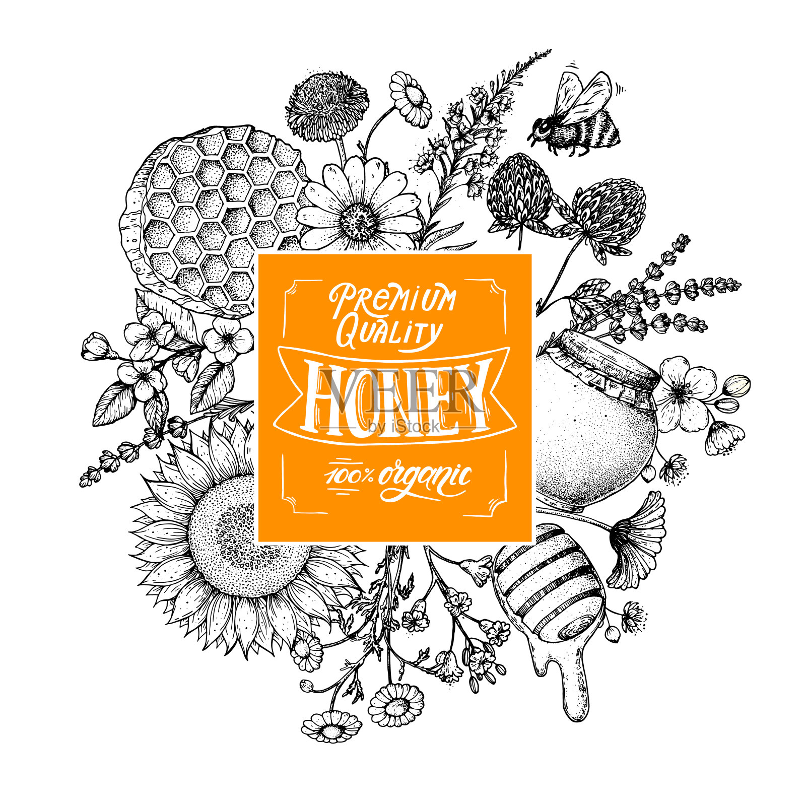 蜂蜜手绘矢量插图。蜂蜜标签。健康食品的说明。字母优质蜂蜜100%有机。蜂巢，鲜花，一罐蜂蜜素描。插画图片素材