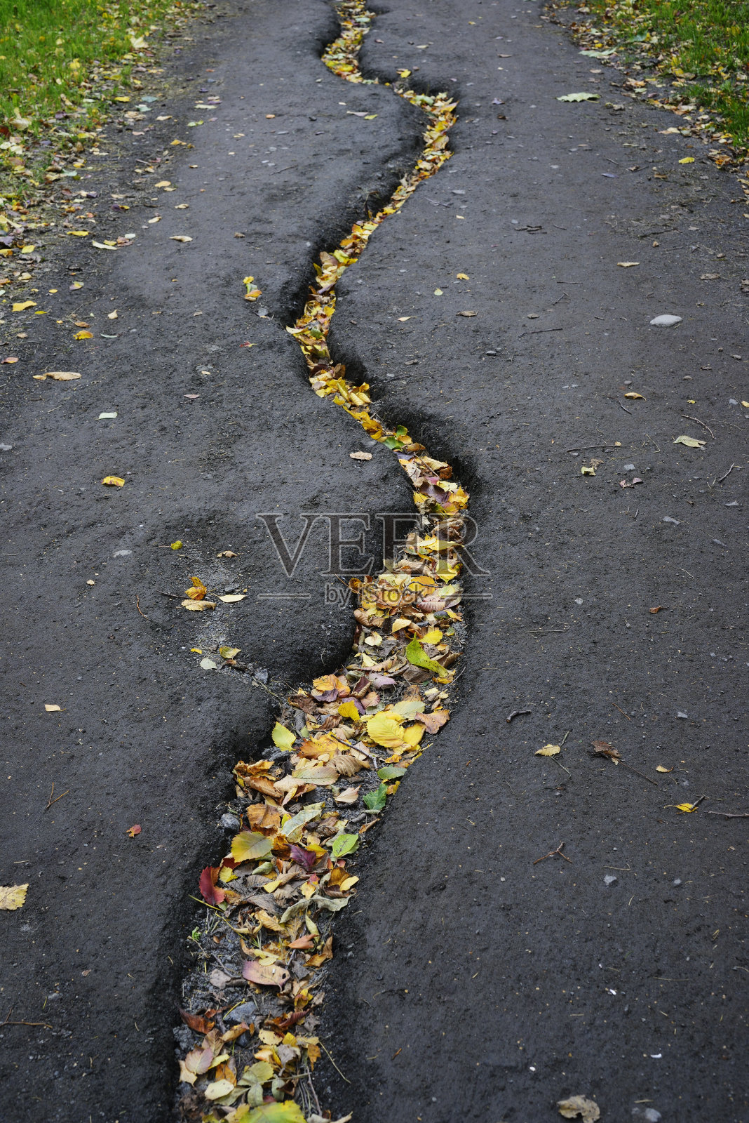 秋天公园里被雨水冲刷出的小路照片摄影图片
