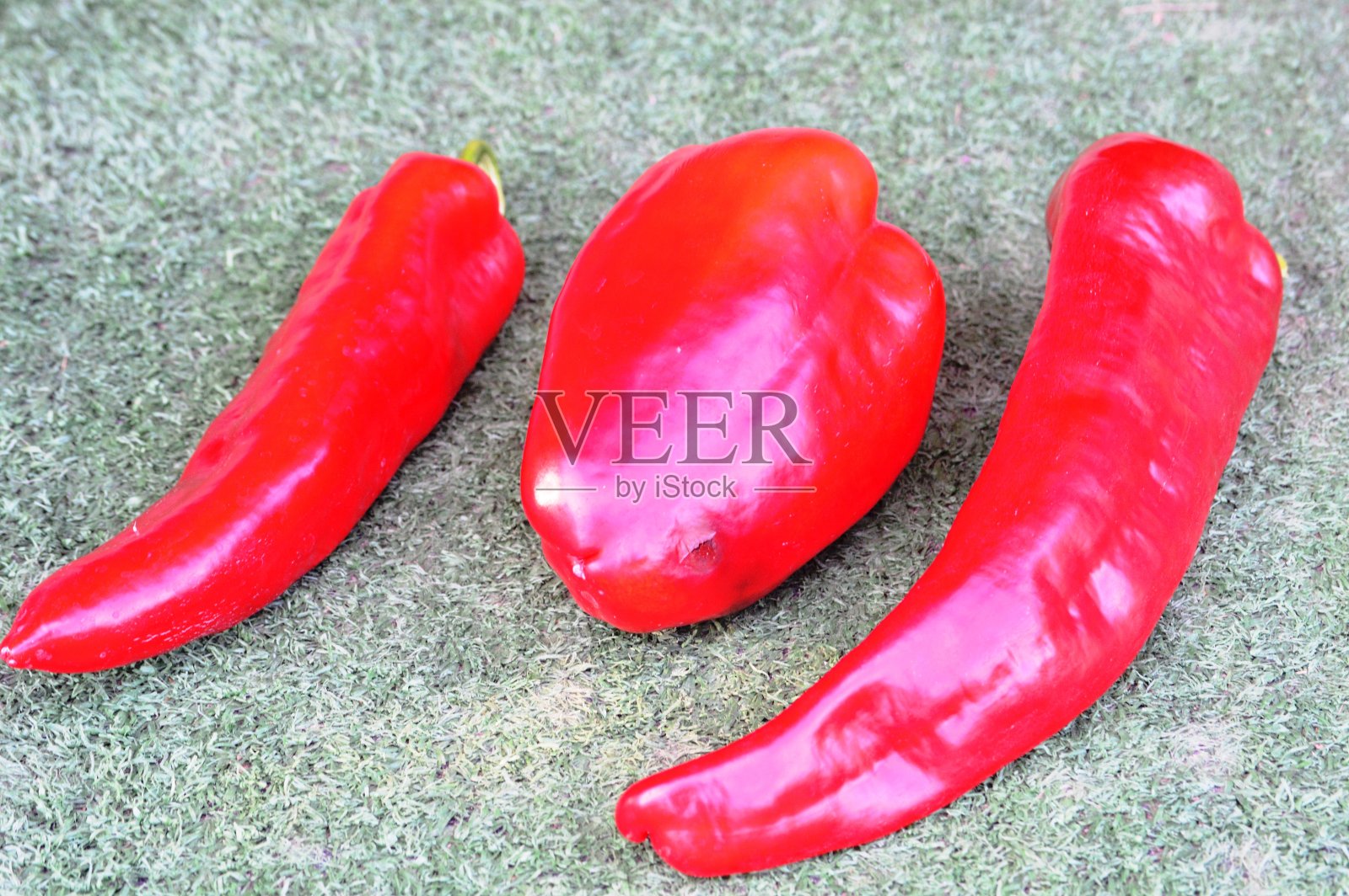 秋天的蔬菜照片摄影图片