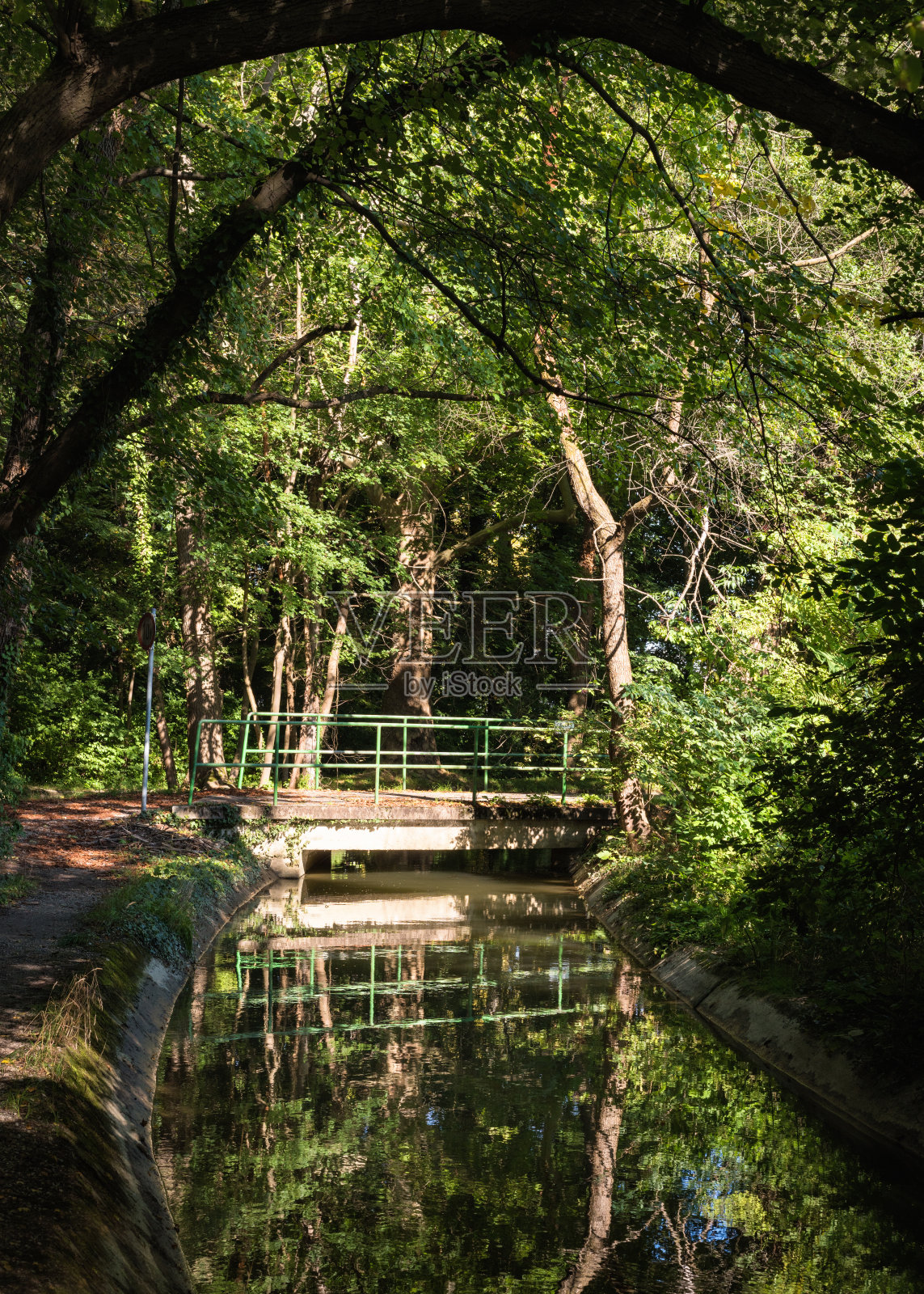 运河与森林中的小桥照片摄影图片