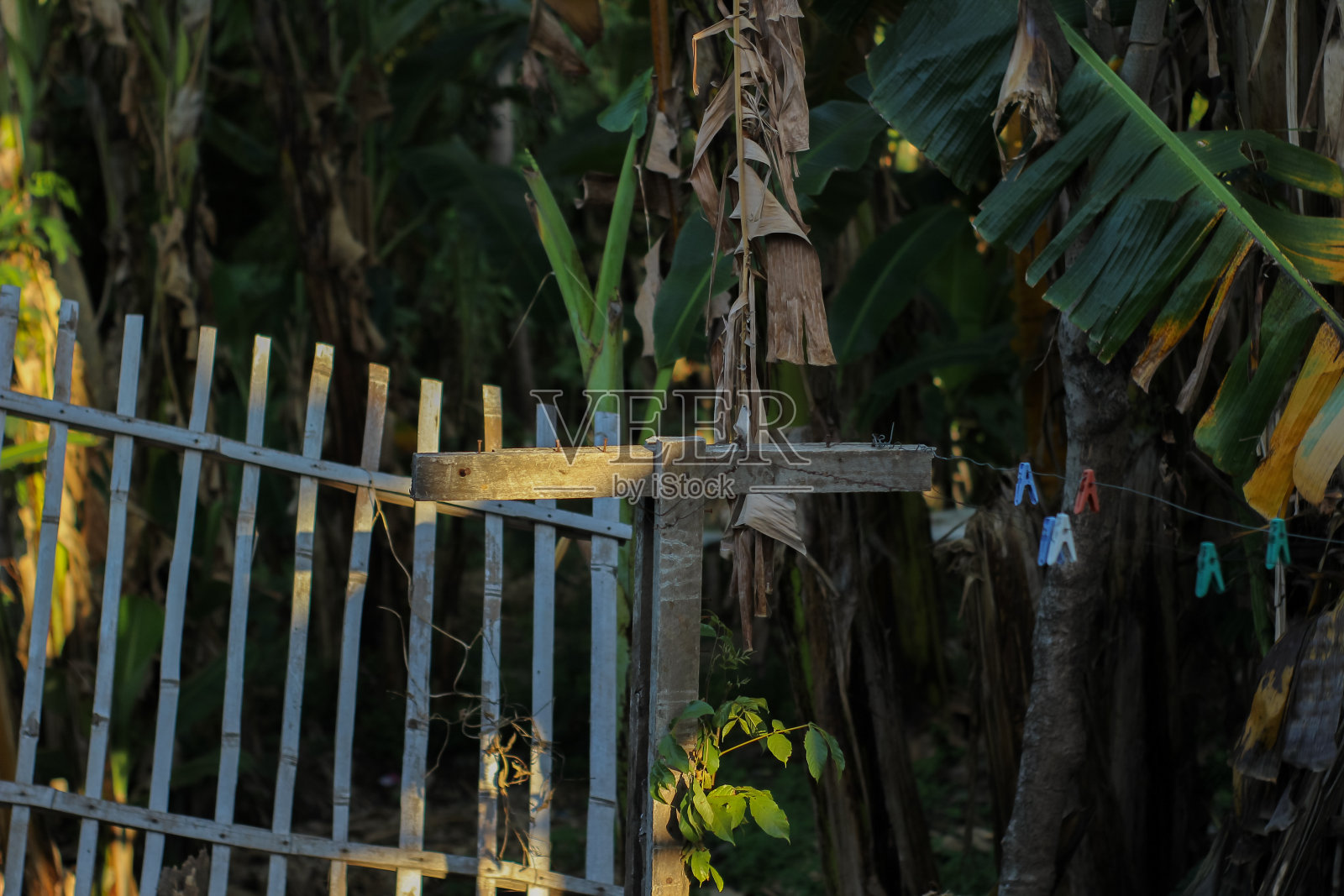 房子后面的晾衣绳照片摄影图片