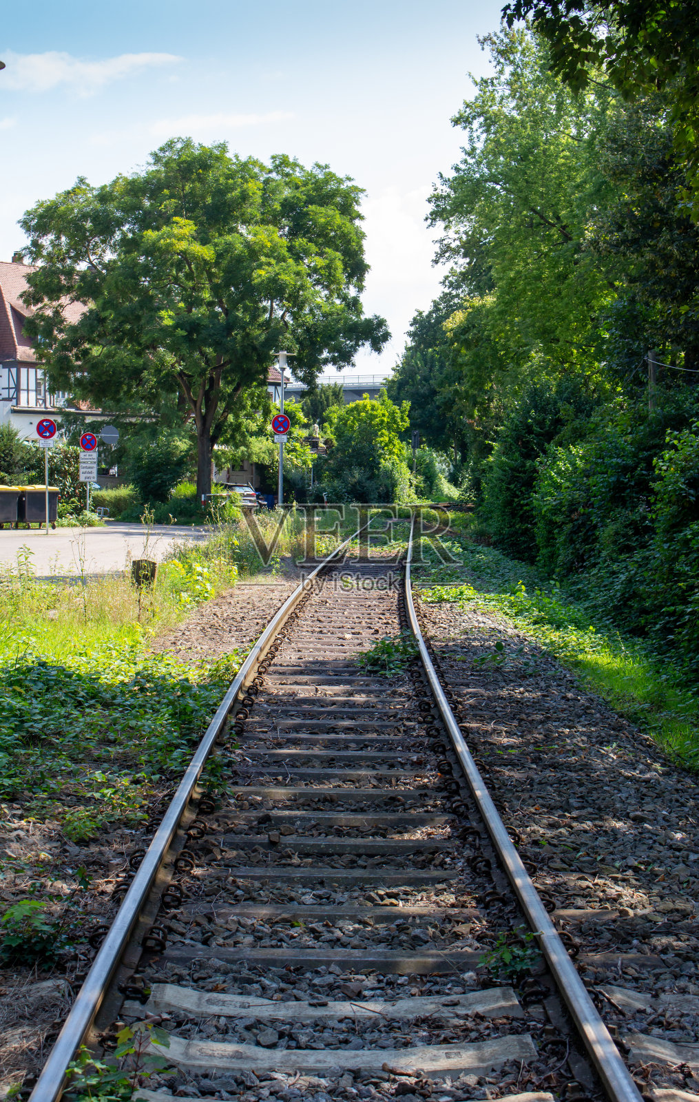 穿过欧洲森林的铁轨照片摄影图片
