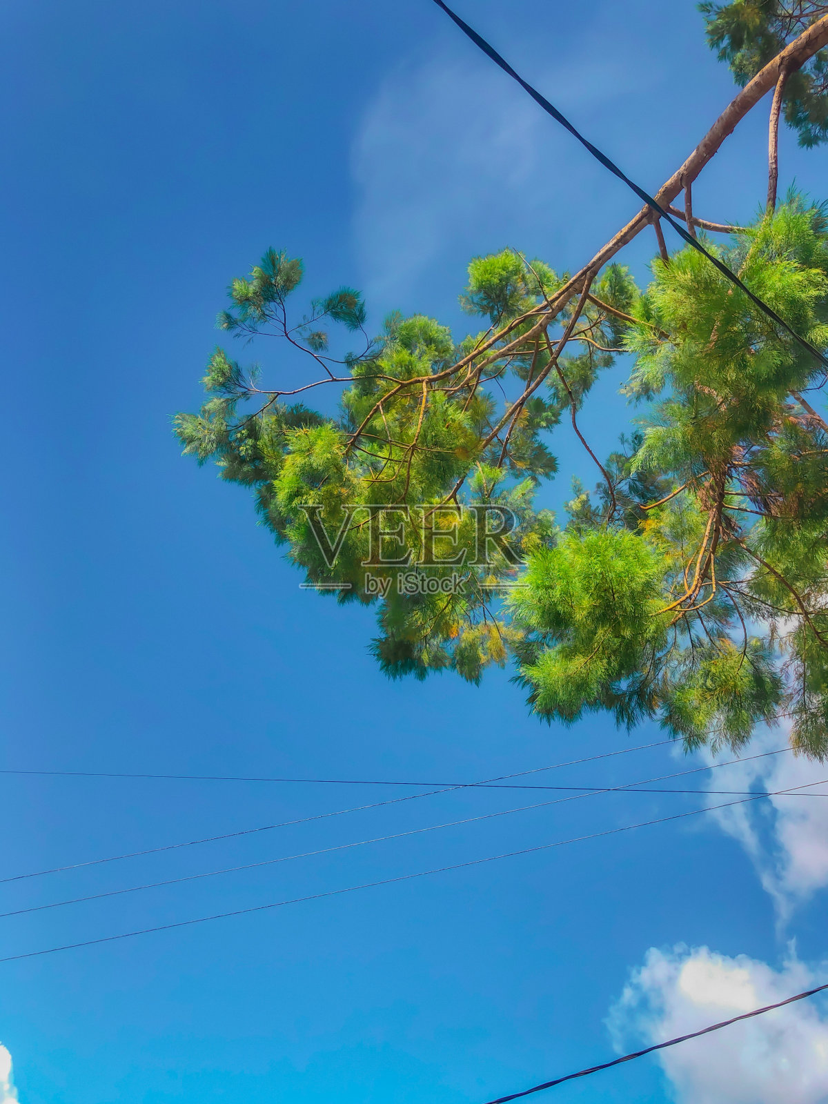 美丽的天空照片摄影图片
