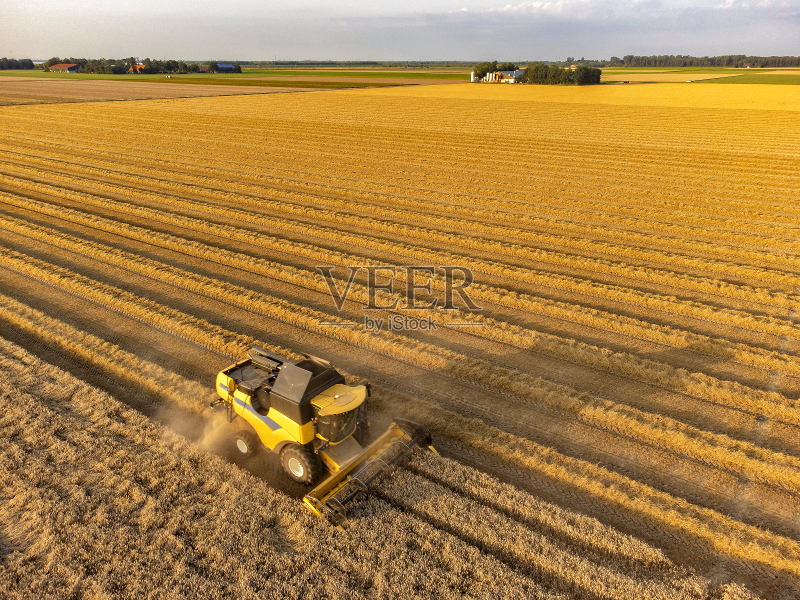 夏季收获小麦的联合收割机照片摄影图片