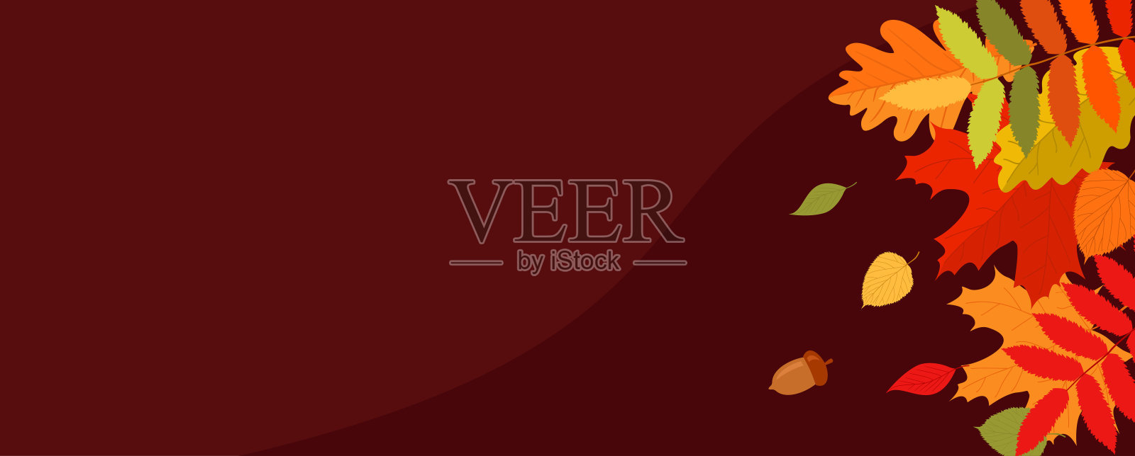 多彩的秋天树叶和橡子在红色的勃艮第背景与复制空间。平面向量插图插画图片素材