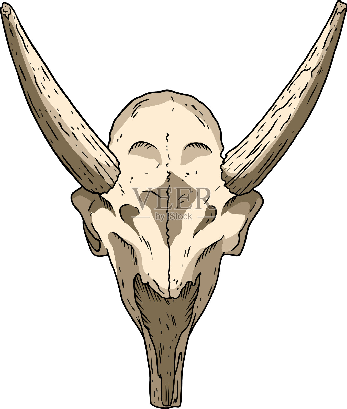 赛加鹿的头骨化石手绘图像有角设计元素图片