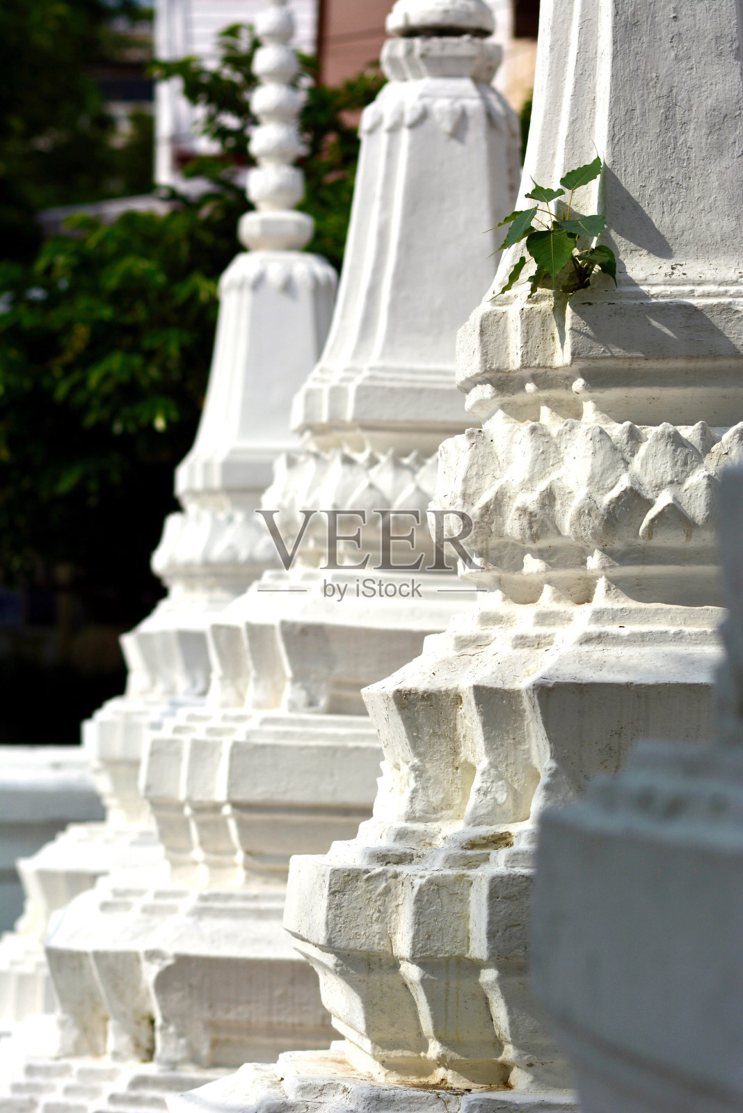 什么山姆 · 普拉亚照片摄影图片