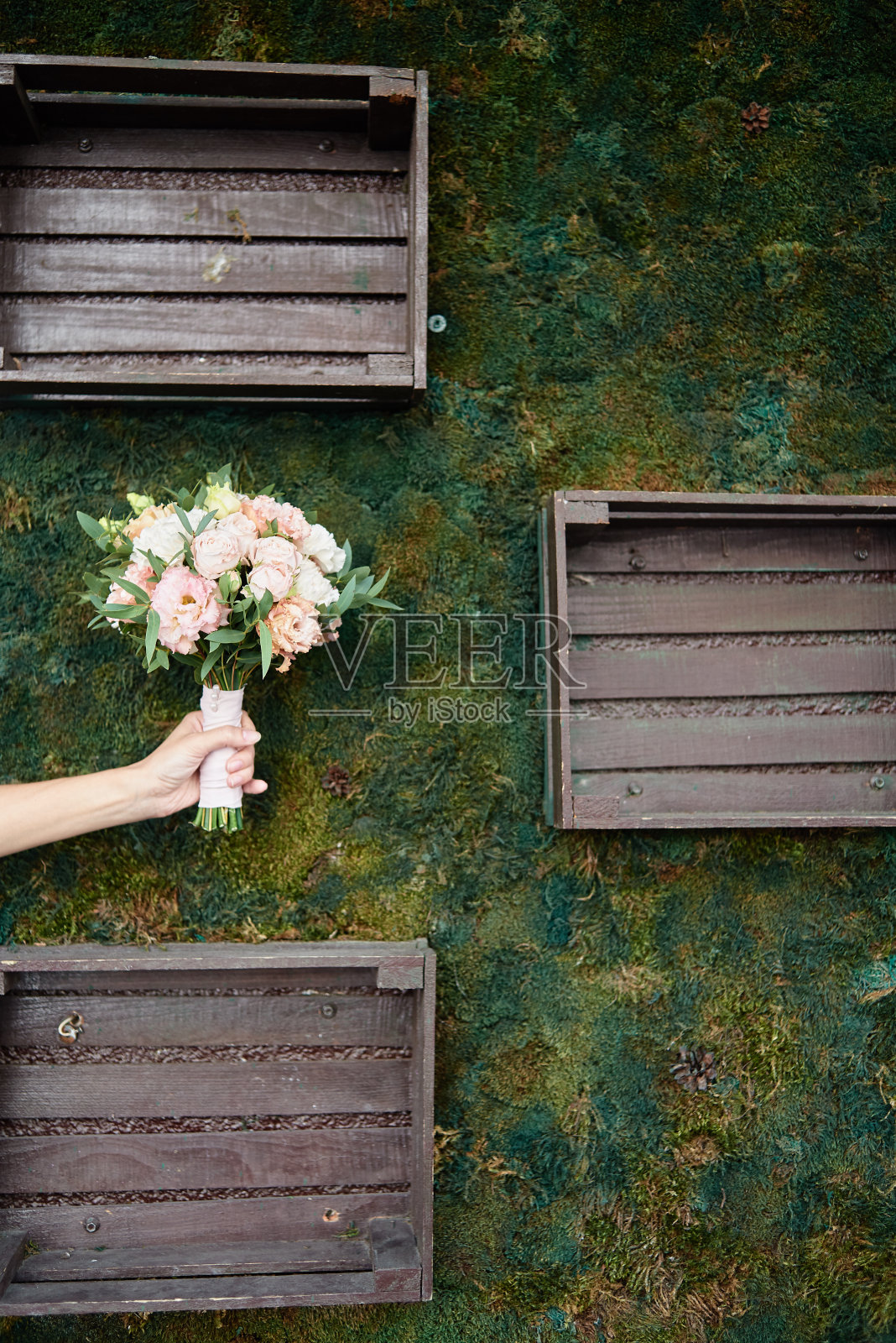 美丽茂盛的新娘花束粉红色和白色玫瑰，eustoma和ruscus在妇女手中与苔藓墙和木制盒子的背景，复制空间。婚礼，生日，节日概念照片摄影图片