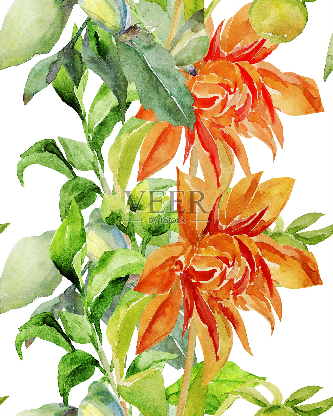 秋虫丛插画图片素材