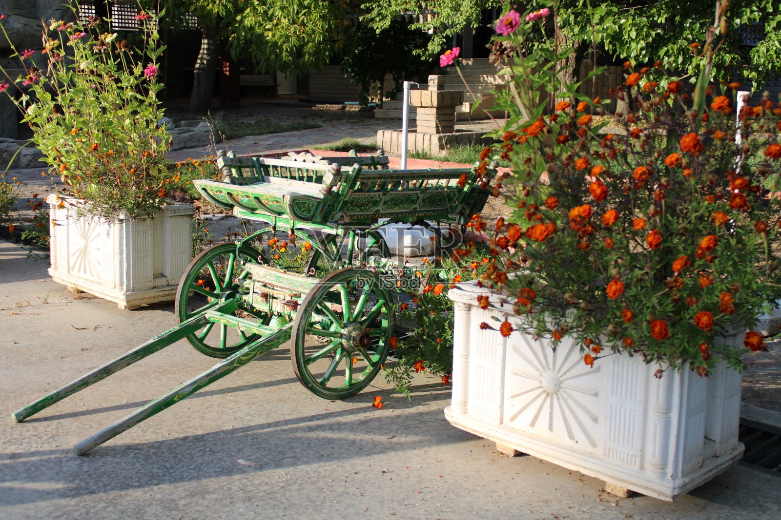 对象和性质照片摄影图片