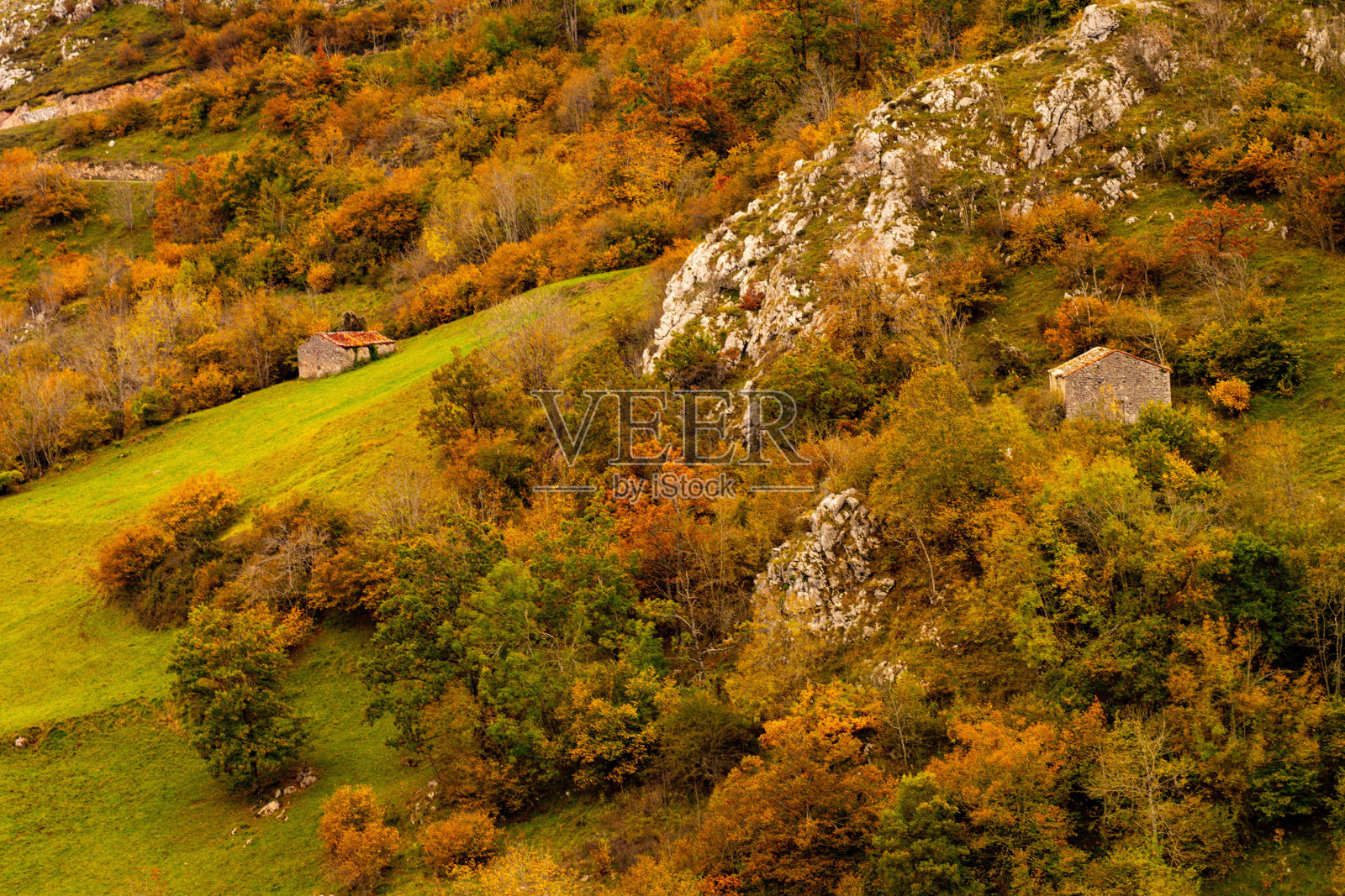 阿斯图里亚斯的内部景观。照片摄影图片