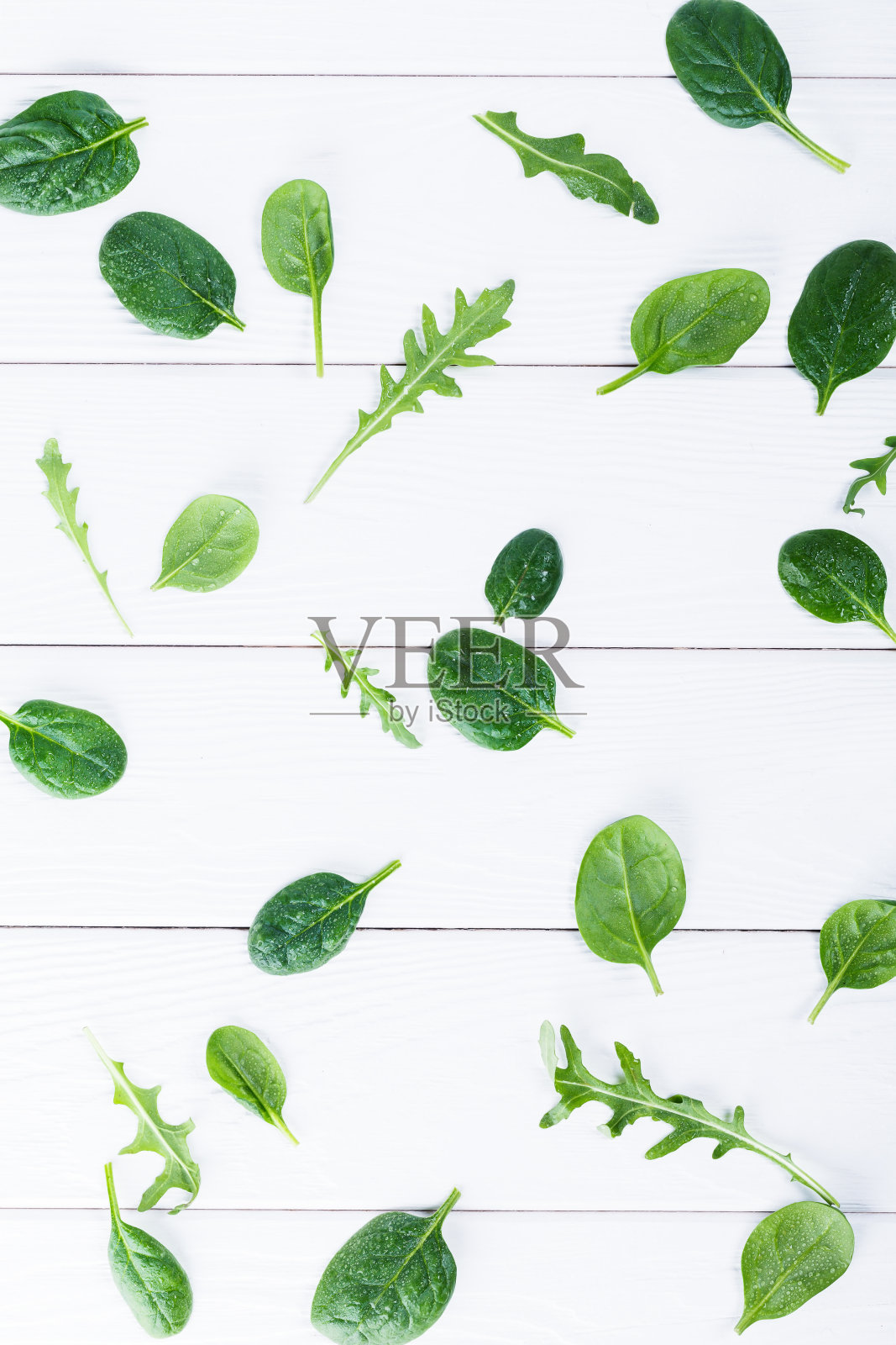 小菠菜和芝麻菜叶子的俯视图照片摄影图片