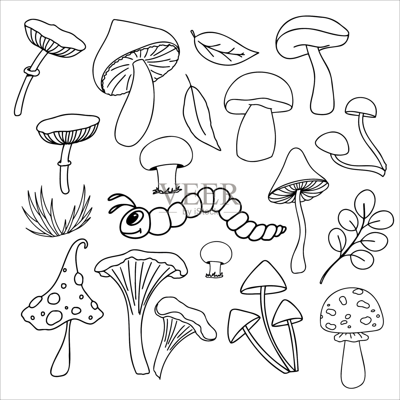 蘑菇设置在涂鸦风格。鸡油菌，木耳，死冠，香槟酒，鸡油菌植物设计矢量插图插画图片素材