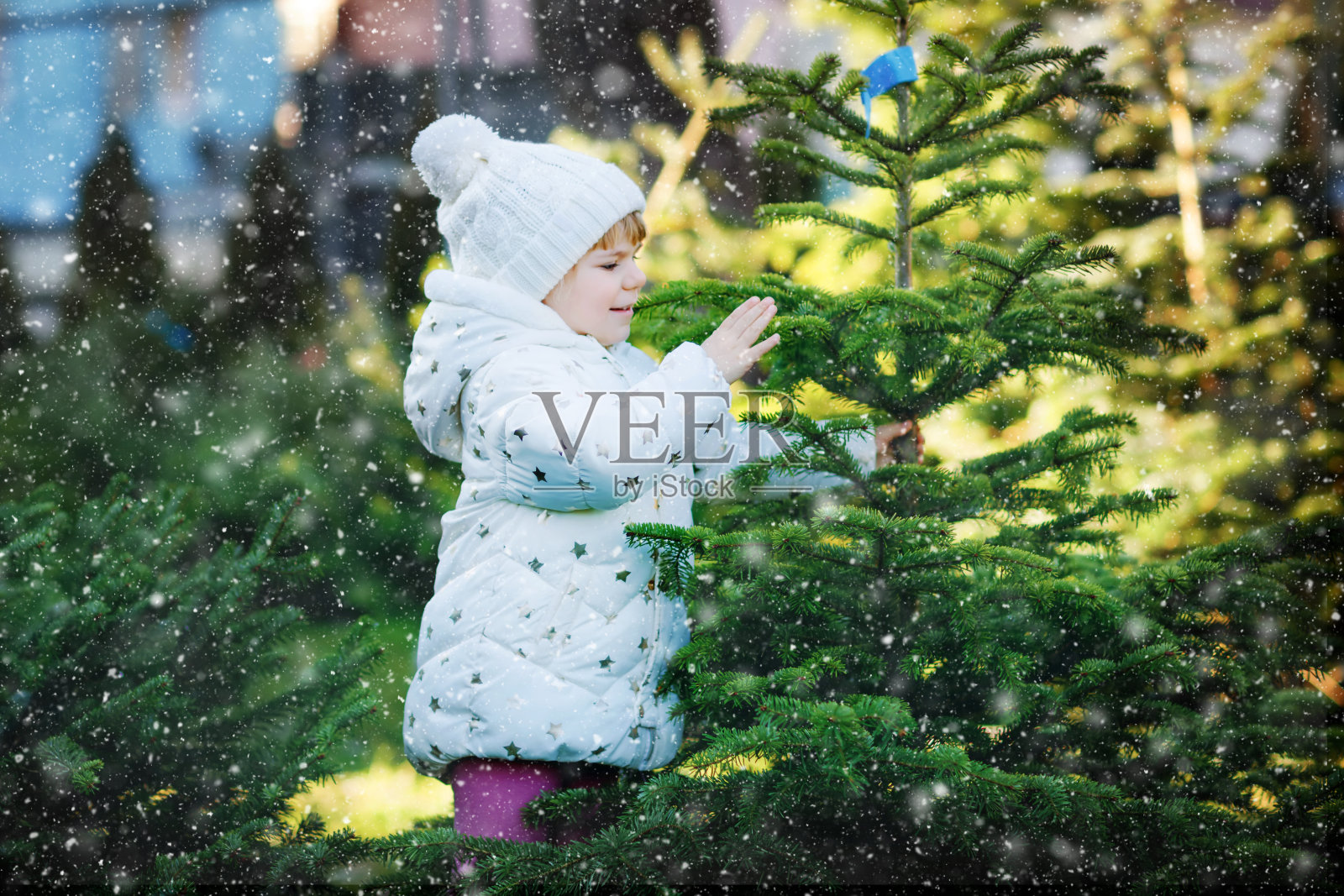 可爱的小女孩抱着市场上的圣诞树。快乐健康宝宝宝宝在冬季时尚服装选择和购买户外商店的大圣诞树。家庭、传统庆祝活动。照片摄影图片