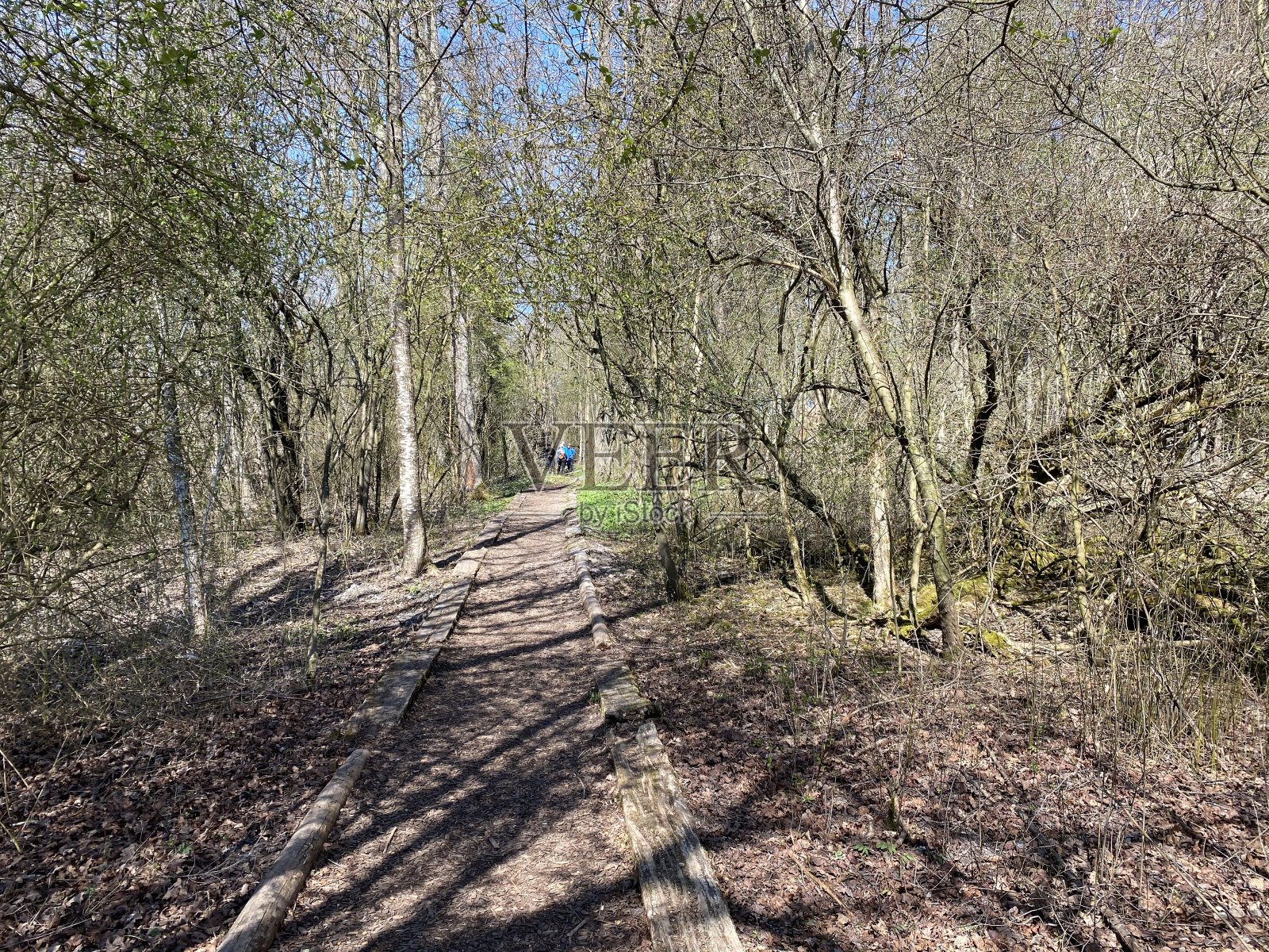 瑞士卢塞恩州莫恩湖或莫恩湖(莫恩湖)沿线的休闲步道和散步道照片摄影图片