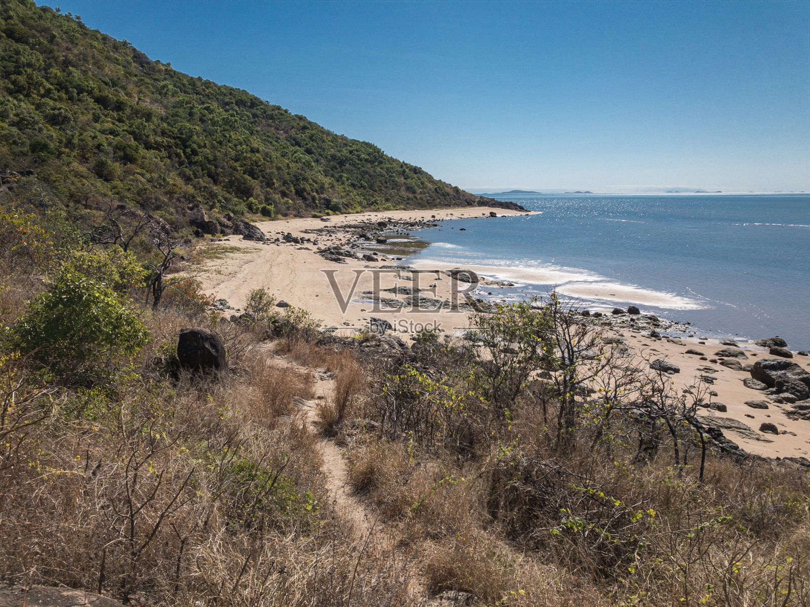 澳大利亚丛林北昆士兰帕拉伦达海岸照片摄影图片