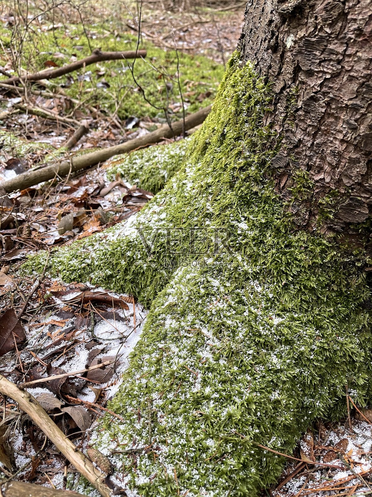思念在冬天冻住了照片摄影图片