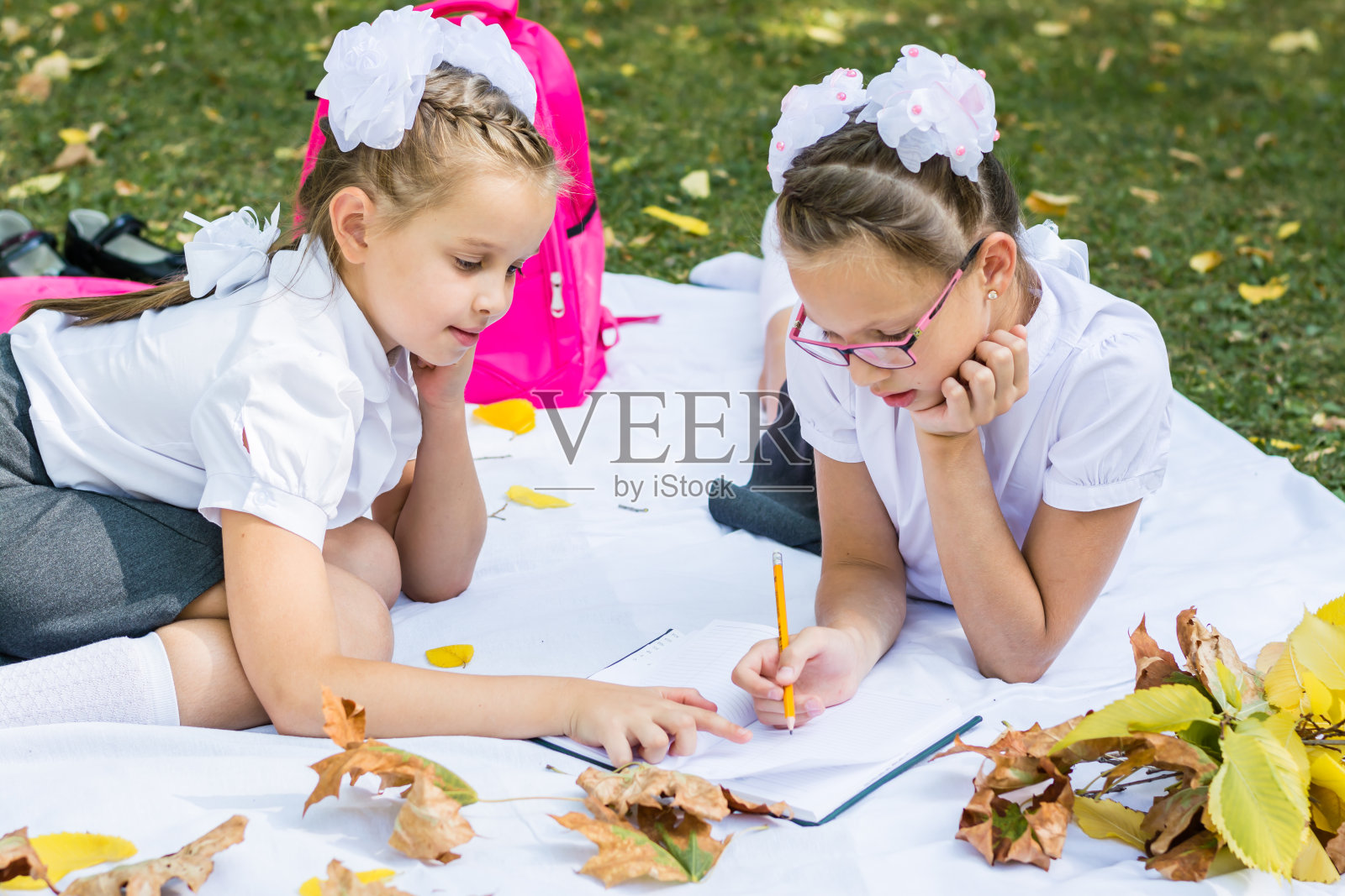 秋日阳光明媚的公园里，两个可爱的女学生在毯子上做作业。户外教育。回到学校的概念照片摄影图片