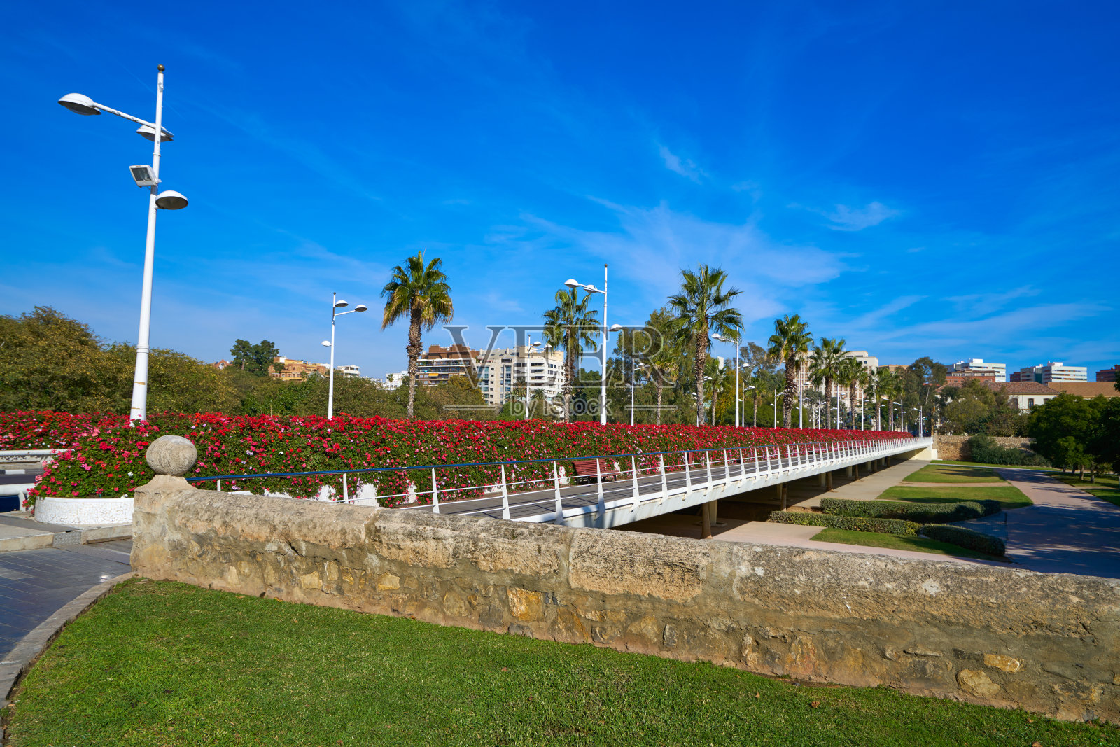 瓦伦西亚花桥花桥照片摄影图片