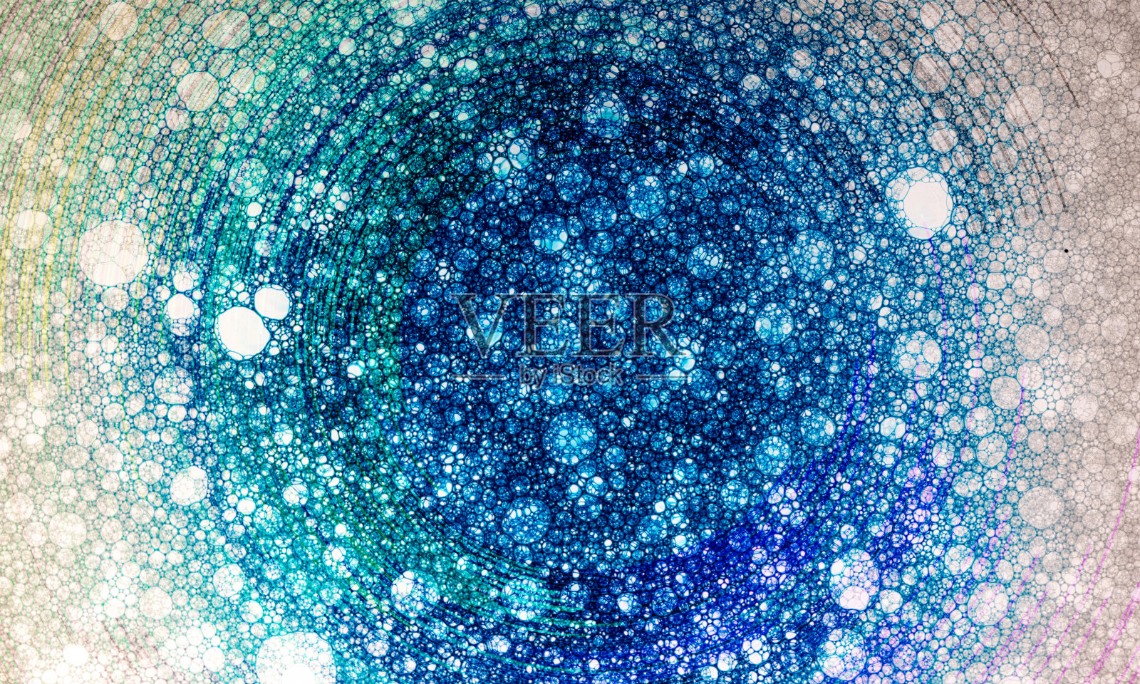 当代时尚的霓虹灯色彩背景。覆盖着泡沫的深色漏斗或圆形。用于设计的拷贝空间。照片摄影图片