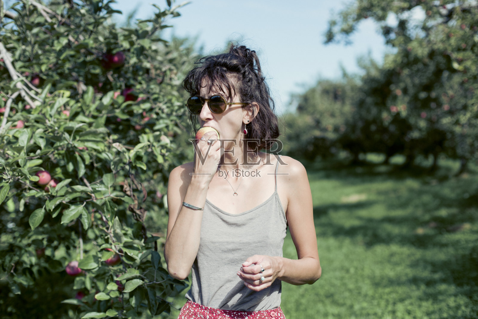 在果园里照片摄影图片