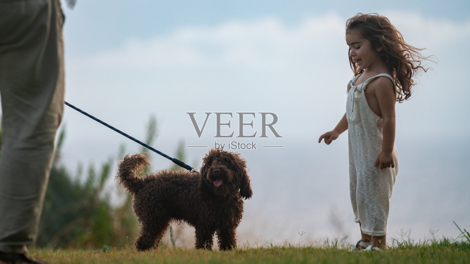 3岁女孩在户外和宠物狗玩耍的肖像照片摄影图片