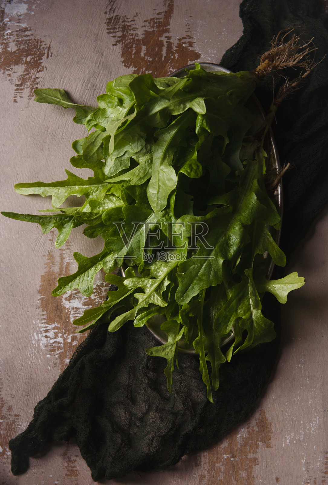 米色背景上新鲜收获的生菜沙拉叶子照片摄影图片