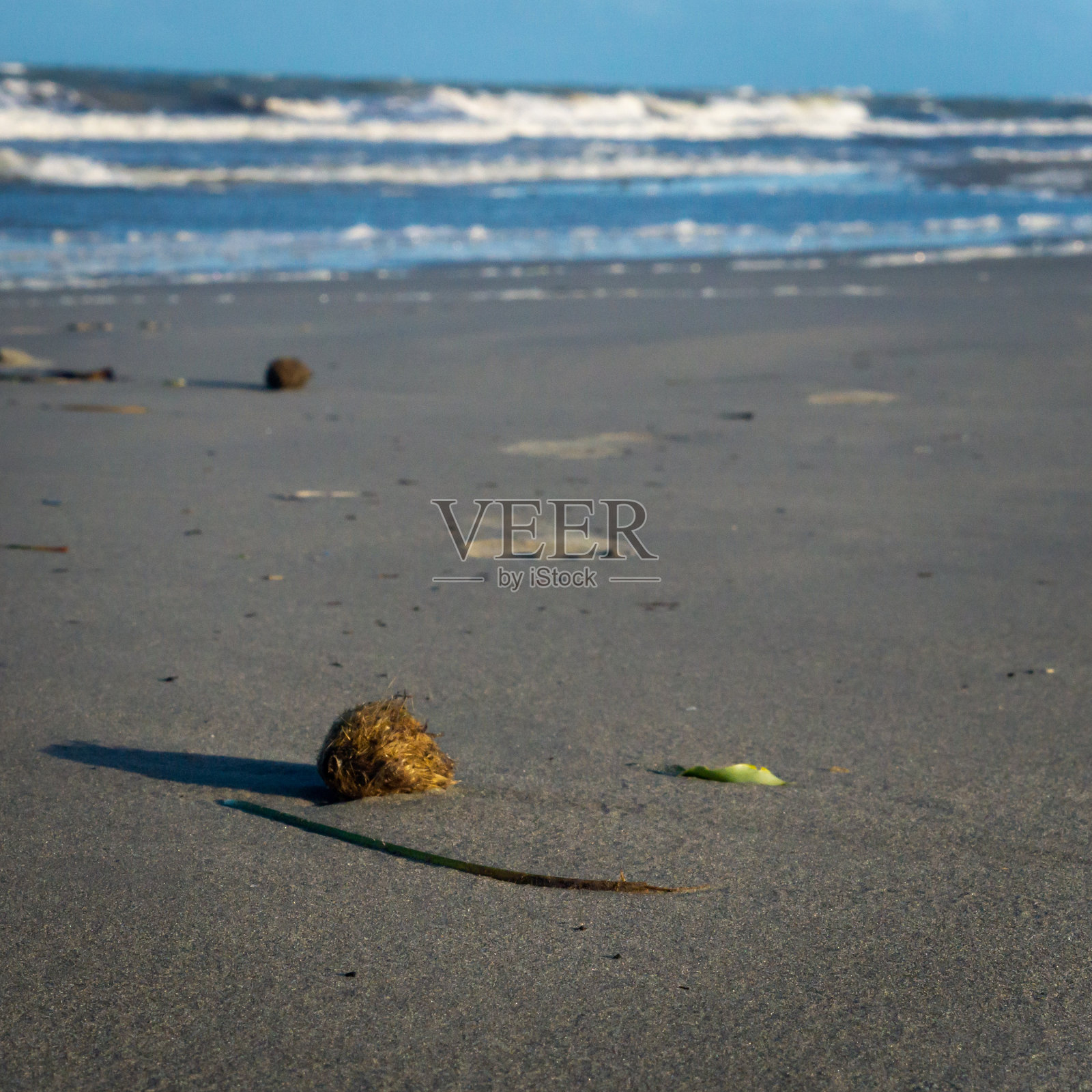 脚印和海草一起留在沙滩上照片摄影图片