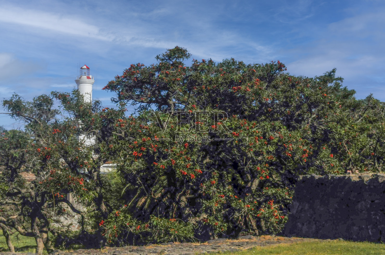 乌拉圭的风景照片摄影图片