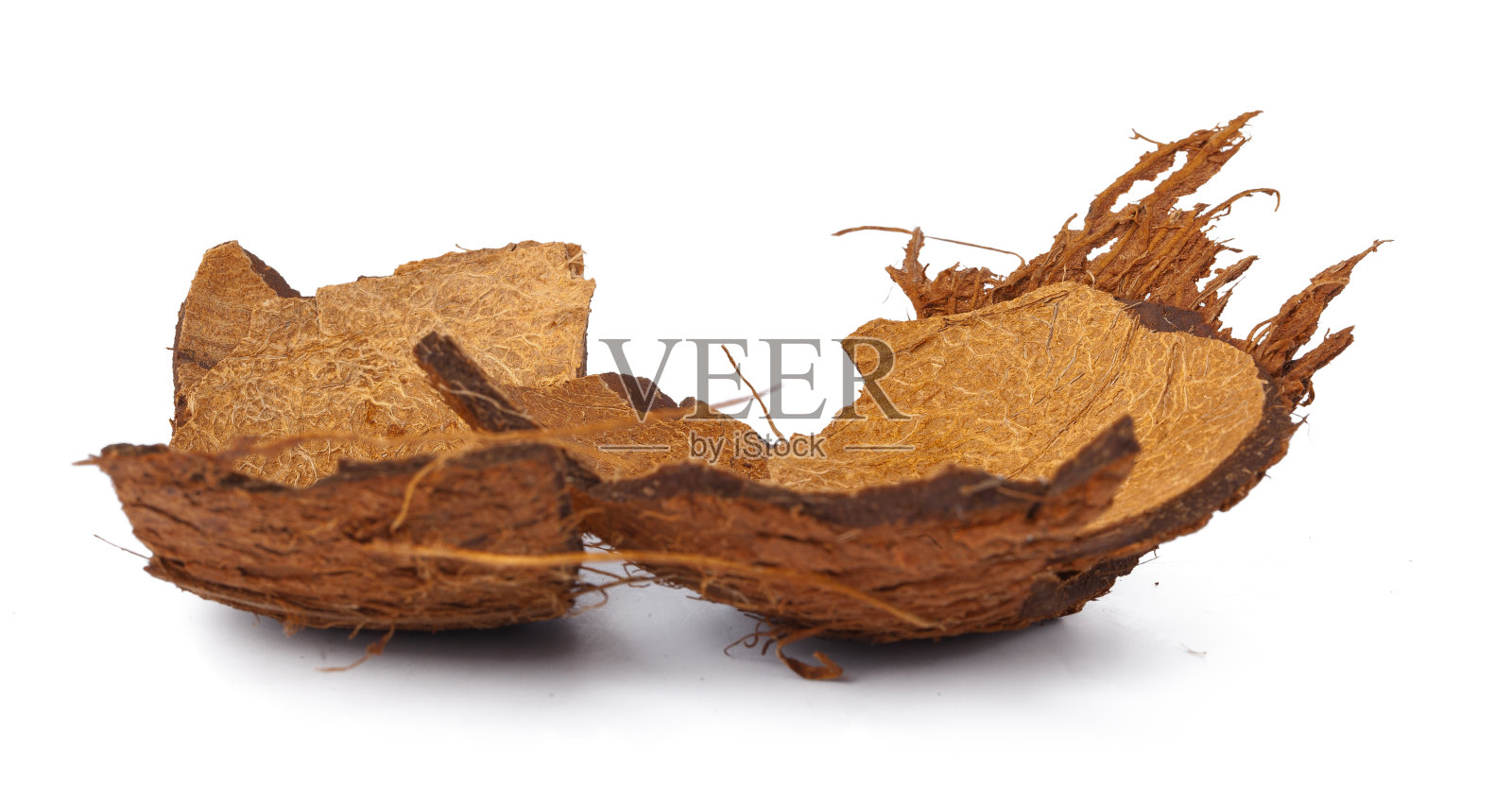 白色背景上的几片椰子照片摄影图片