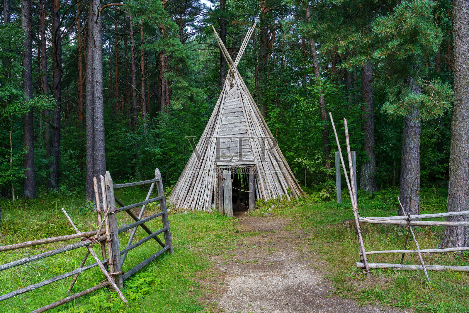 森林里用锥形树枝搭成的旧木屋。照片摄影图片