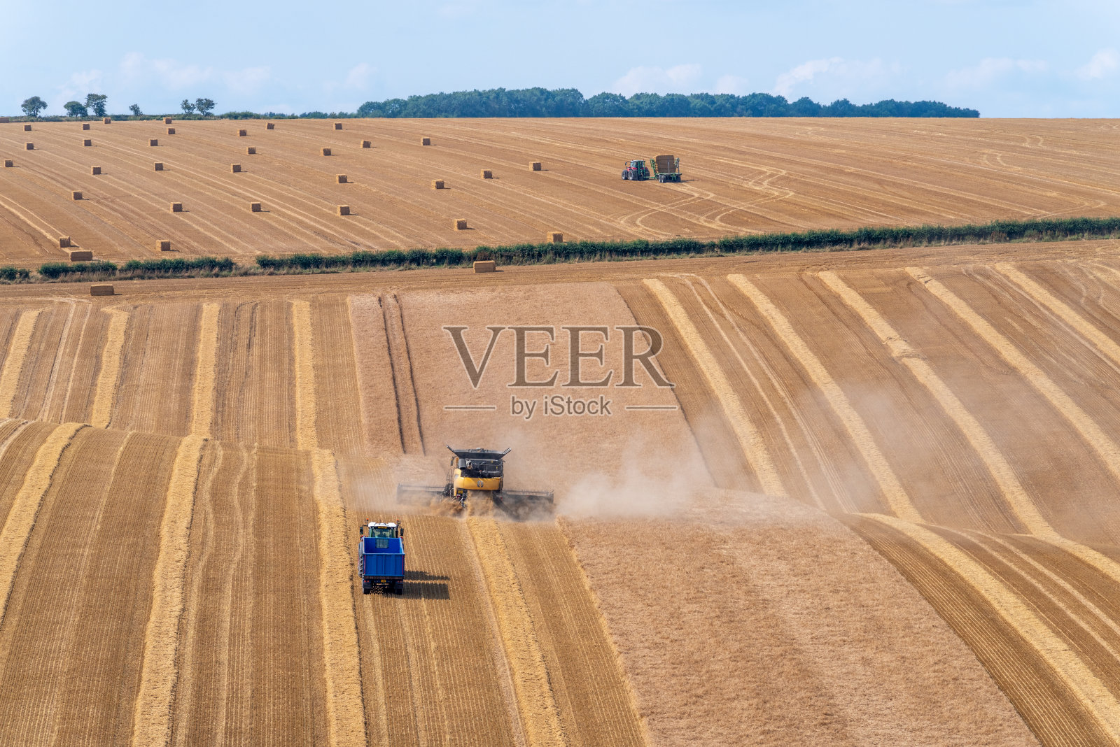 在干燥晴朗的日子里收获的庄稼照片摄影图片