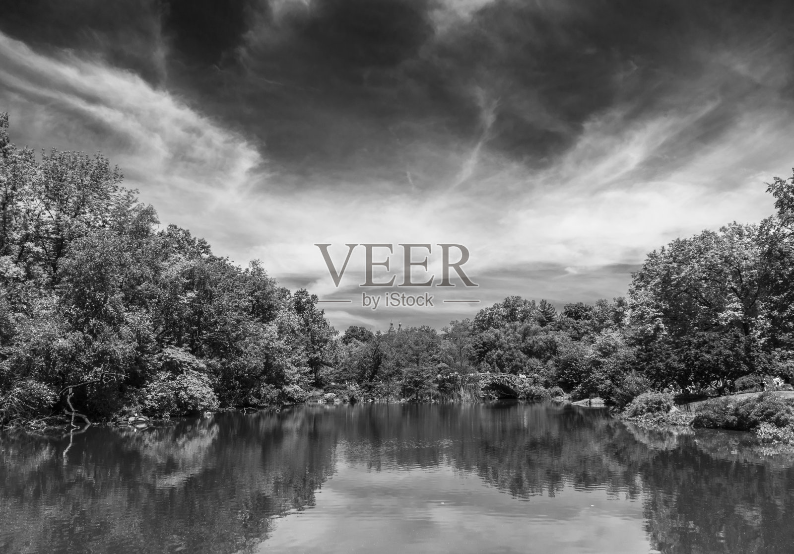 城市里的一个湖照片摄影图片