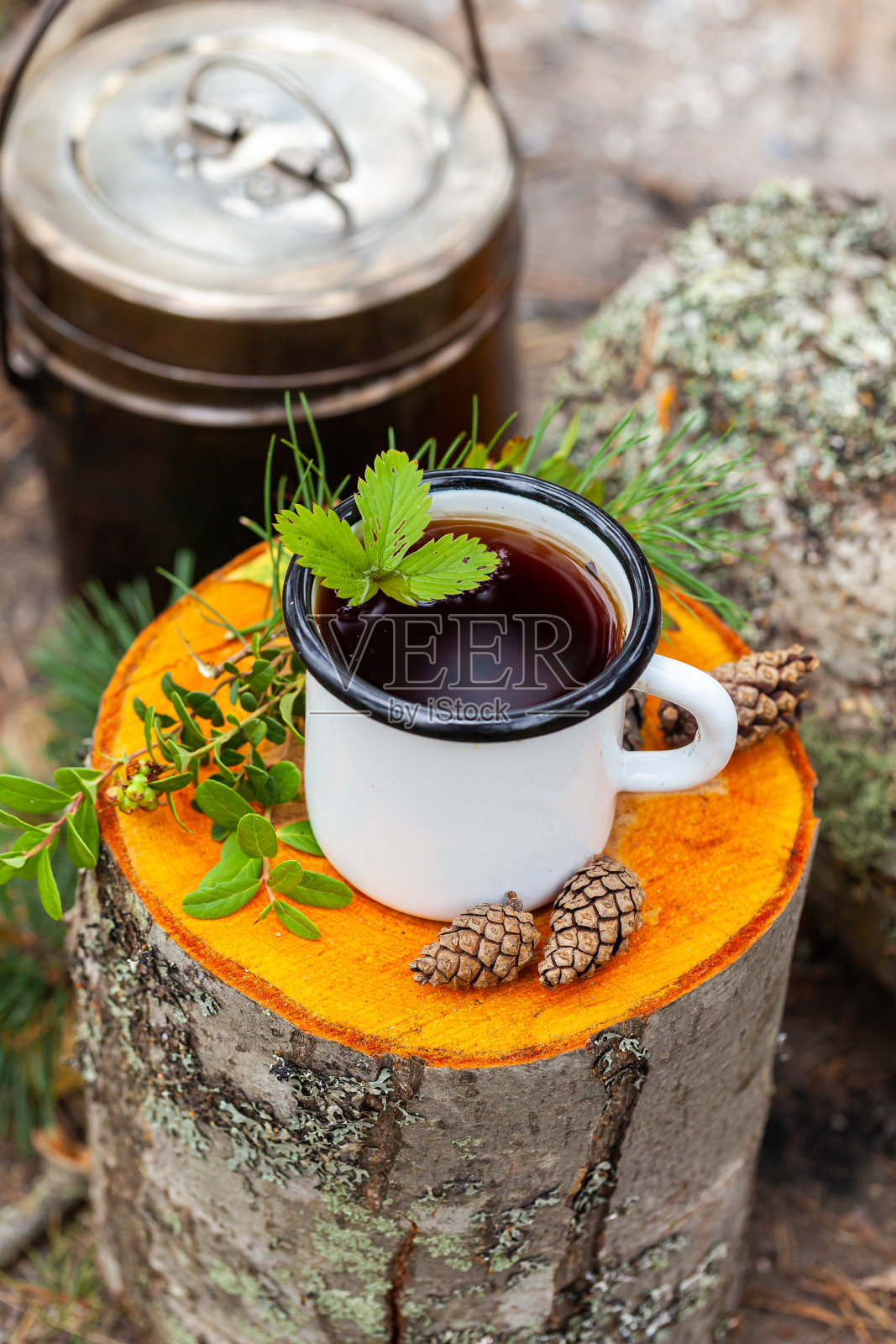 白色的篝火搪瓷杯，木桩上有滚烫的凉茶。圆顶壶为背景，圆锥体，森林元素为装饰。远足、徒步、积极旅游、露营时午休的概念照片摄影图片