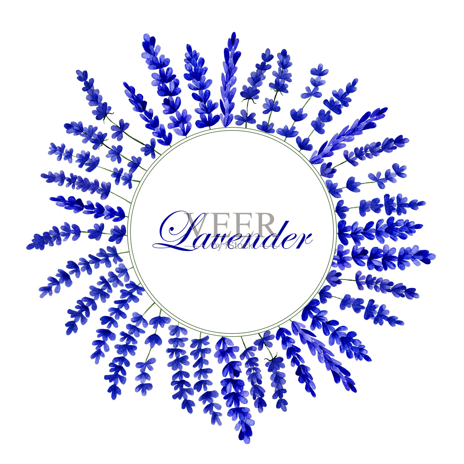 彩色水彩框架与薰衣草邀请和问候卡。插画图片素材