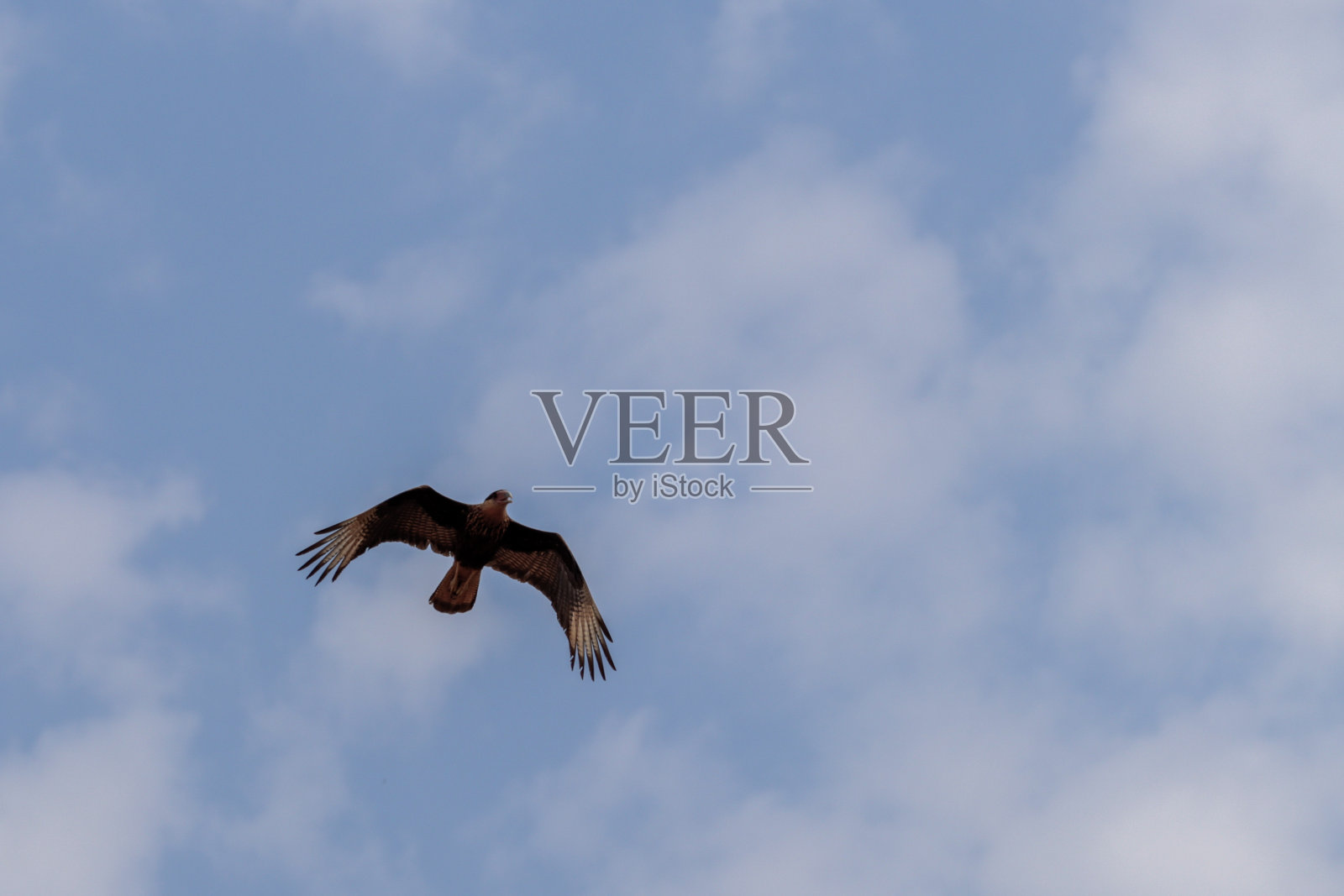 自然照片摄影图片