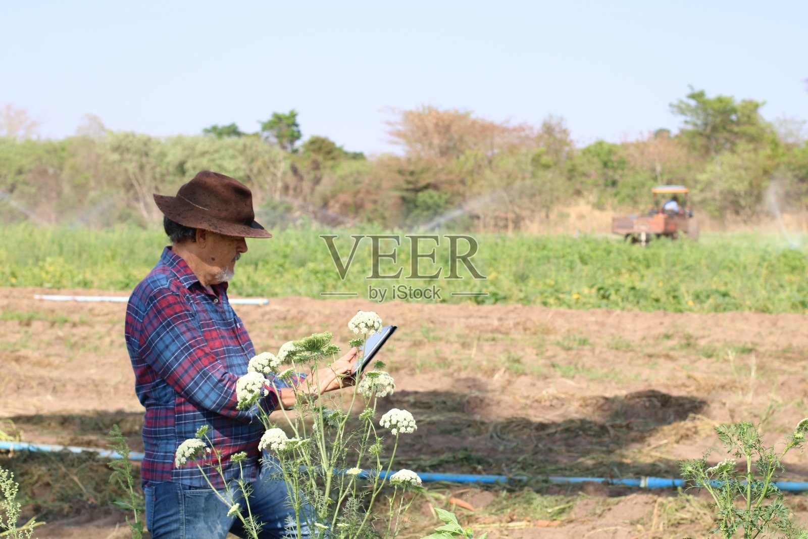 乡下人使用一种技术照片摄影图片