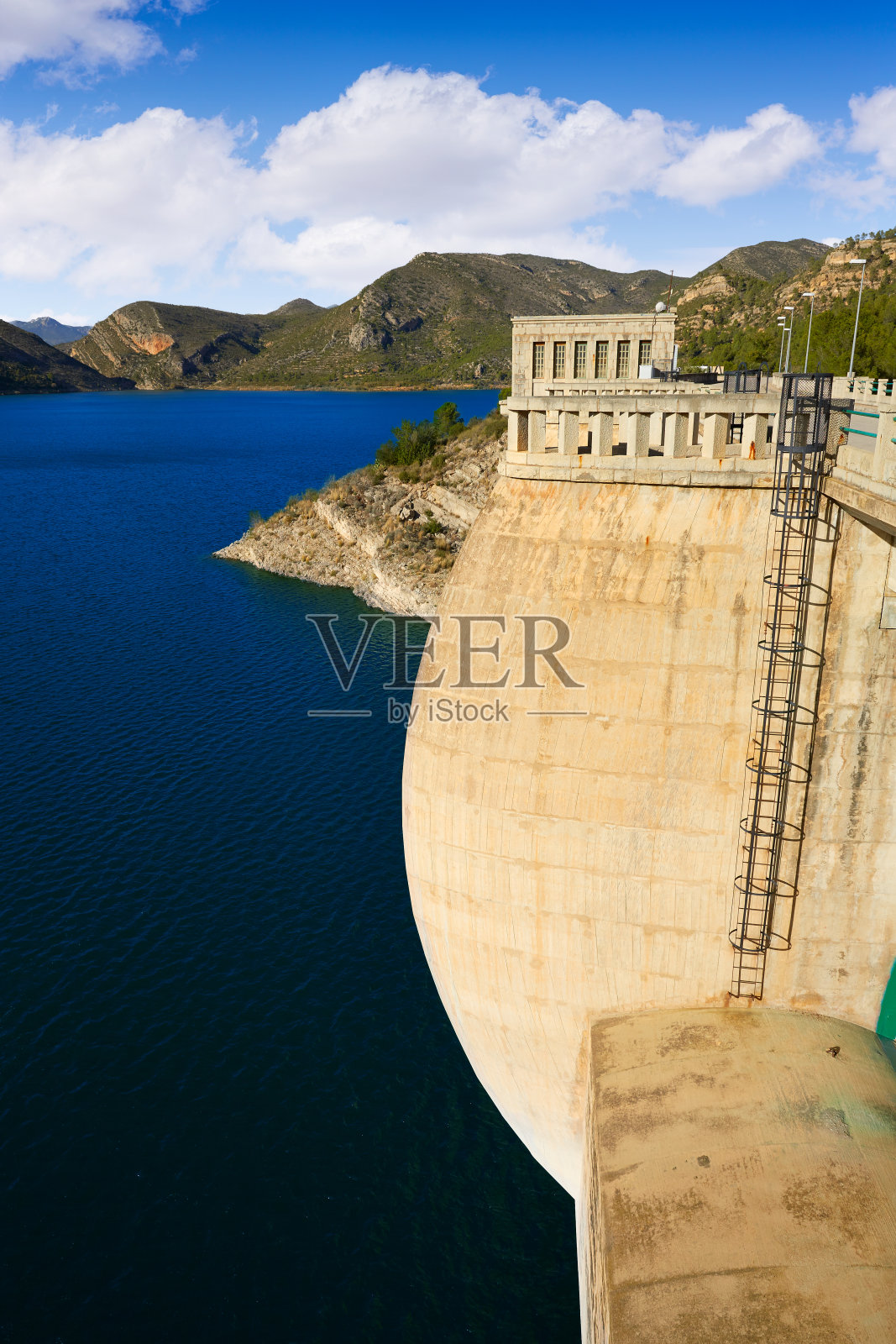瓦伦西亚的lor鬣蜥Pantano沼泽保护区照片摄影图片