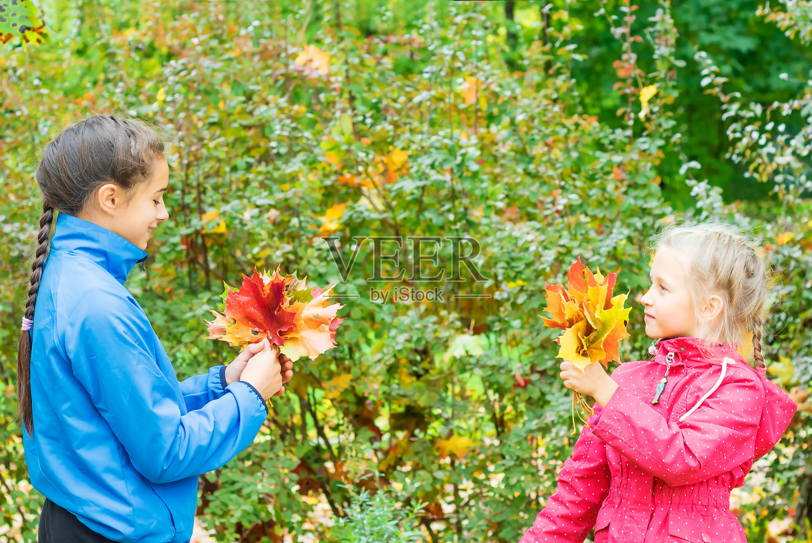 两个小妹妹在秋天的公园里散步，站在枫叶花束旁。照片摄影图片