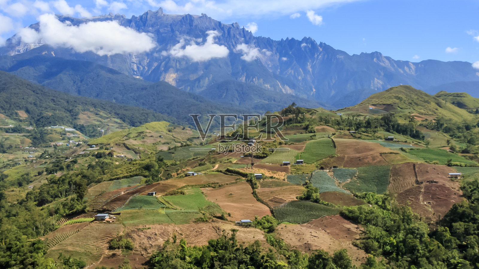 昆达桑沙巴州的景观与卷心菜农场和基纳巴卢山在远处的背景照片摄影图片
