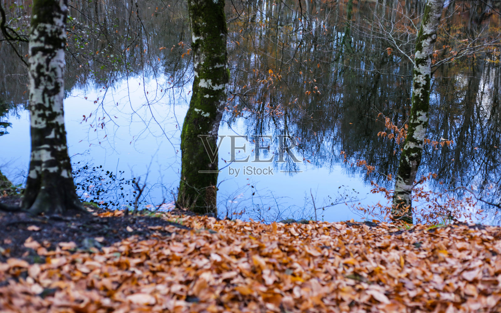 湖与森林的自然景观。秋景森林露营户外。土耳其的七个湖泊。郁郁葱葱的草木倒映在原始森林湖泊的水面上照片摄影图片