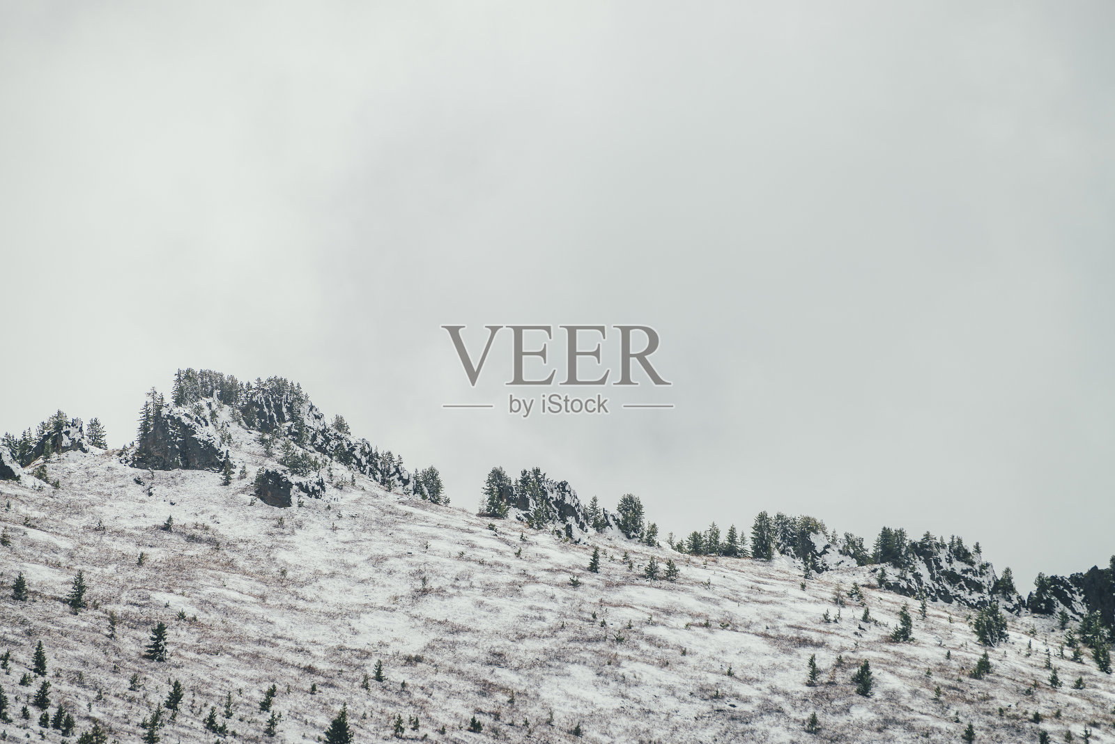 冬天的风景与雪山与针叶林和尖尖顶与树在雾霾。大气的高山风景与冷杉的山坡。雪山上的云杉和锋利的岩石。照片摄影图片