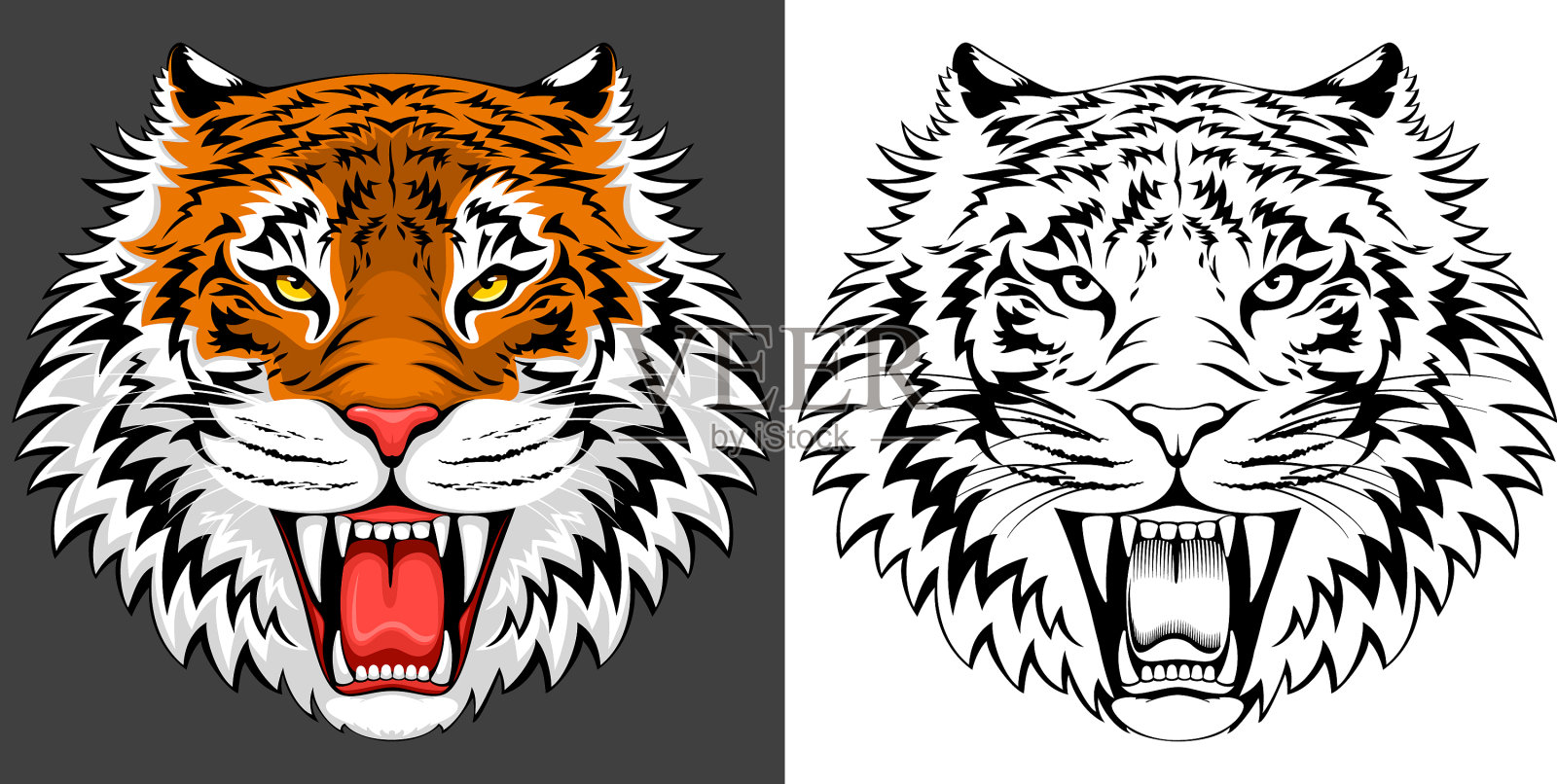 愤怒的老虎的脸插画图片素材