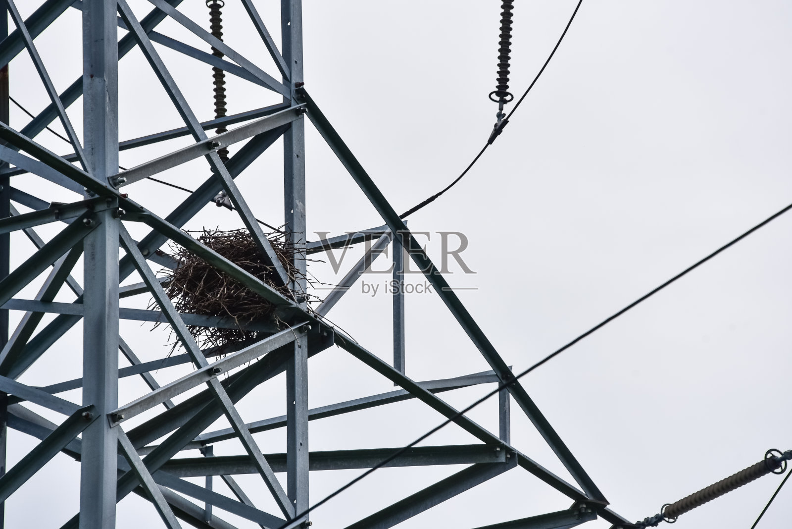 电塔上的喜鹊巢映衬着天空。野生动物保护的概念照片摄影图片