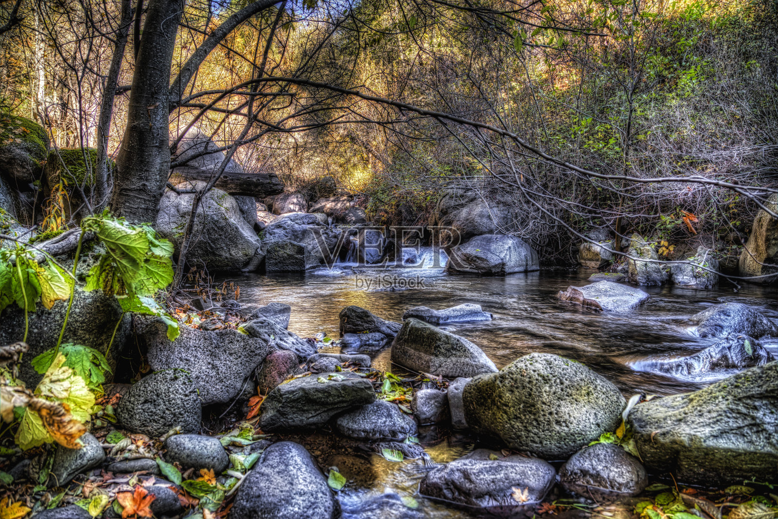 秋季的一天照片摄影图片