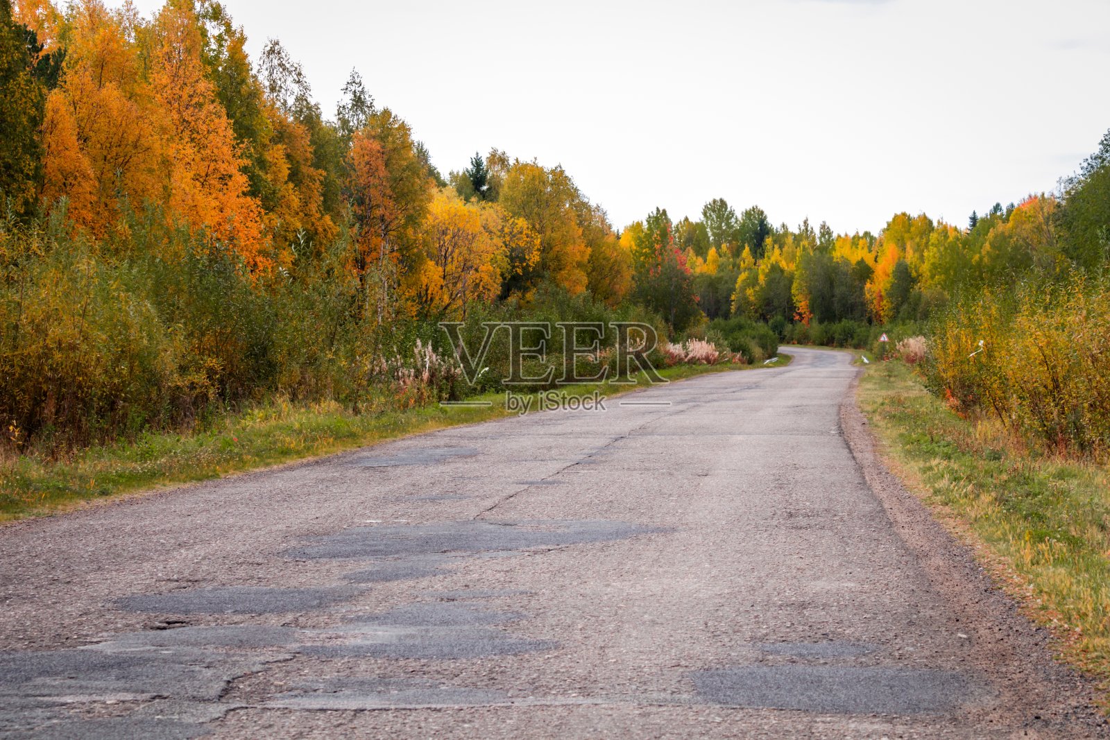 一条古老的柏油路，在秋天的树林中穿行。照片摄影图片